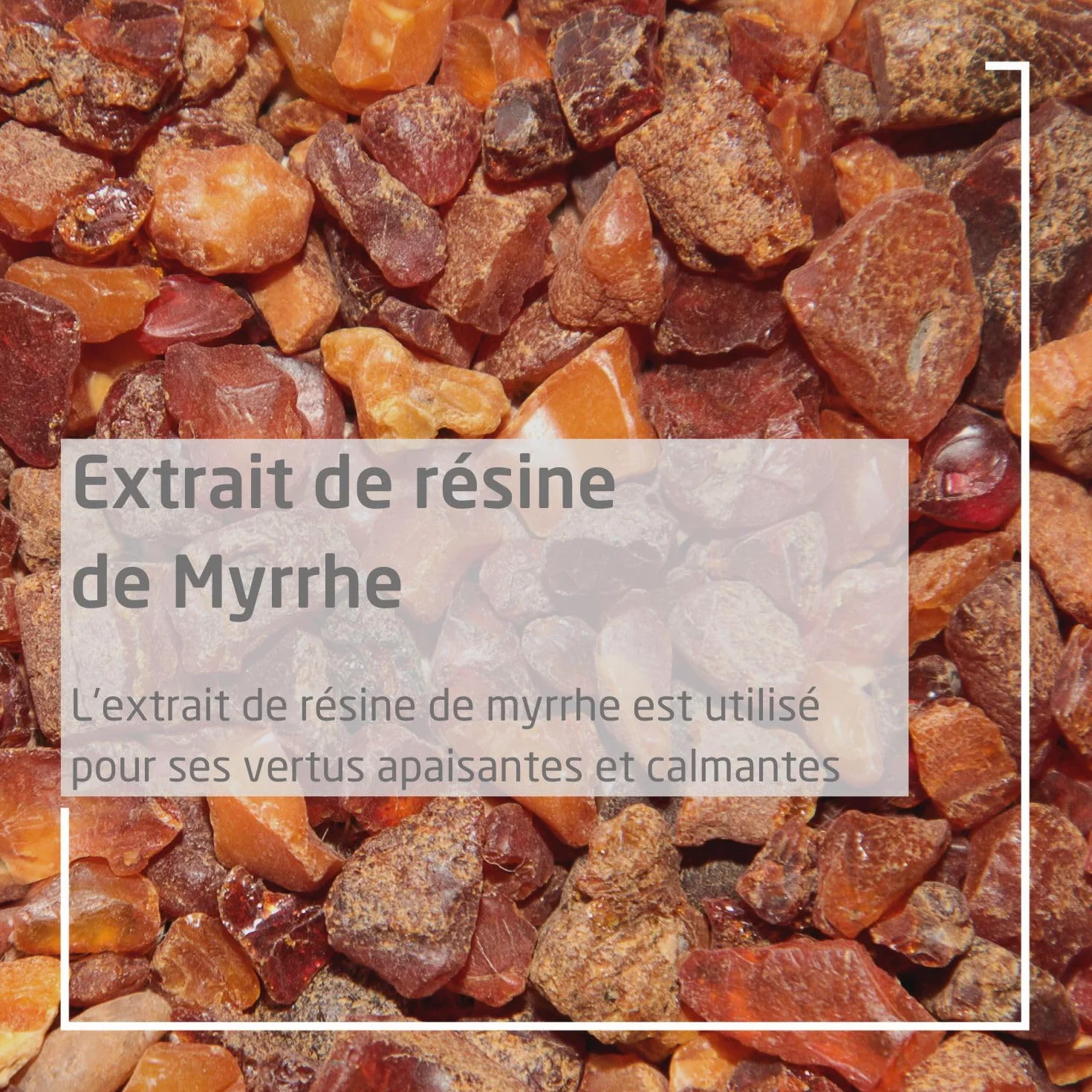 WELEDA Bain de Bouche à la Myrrhe 50 ml