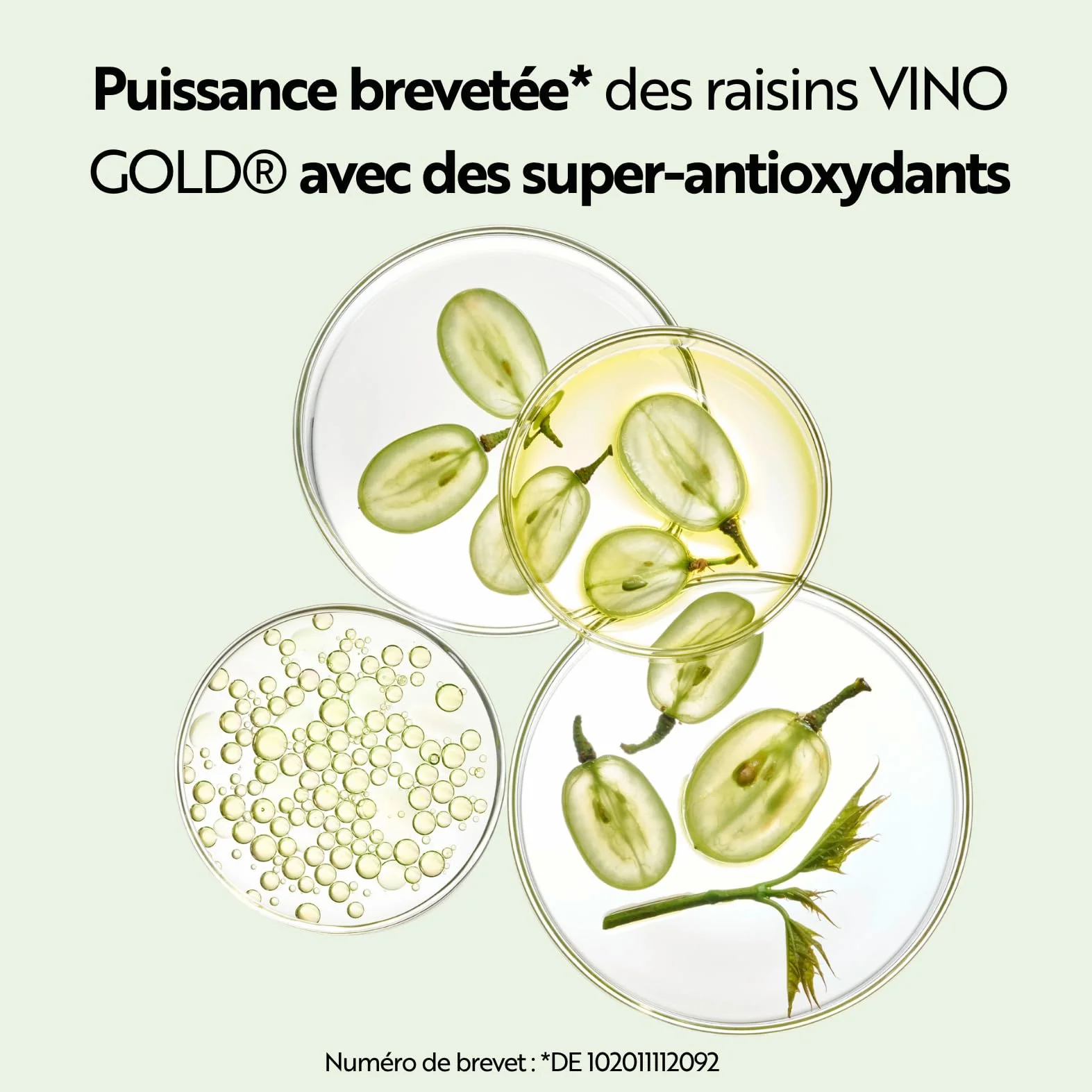 M. Asam Vino Gold Crème Visage 24H (100 ml) | Crème de jour & crème de nuit 24h Contre les rides & ridules, Protection contre le vieillissement prématuré, Anti-âge