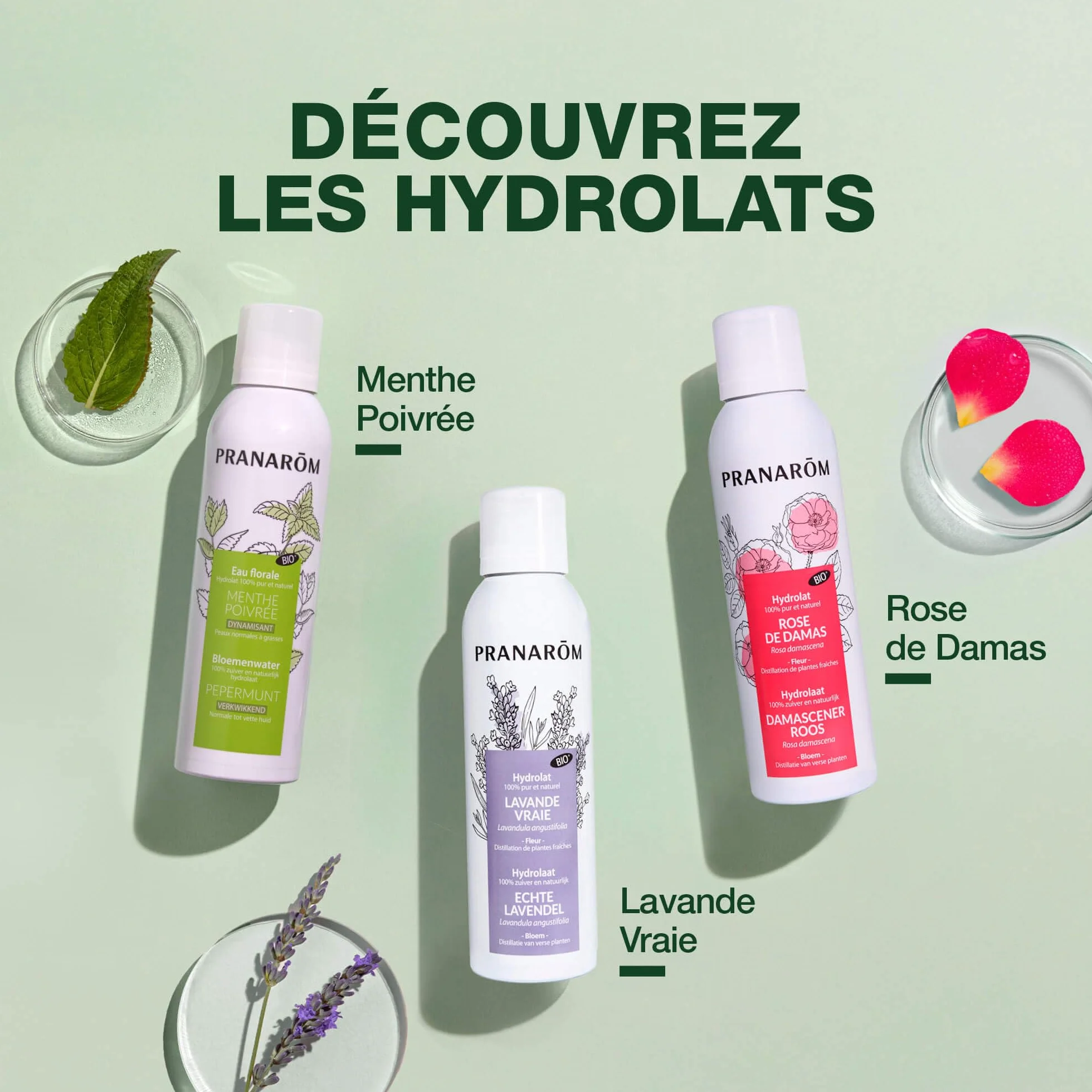 PRANARÔM Eau Florale de Rose de Damas BIO Hydrolat 100% Pur et Naturel 150 ML