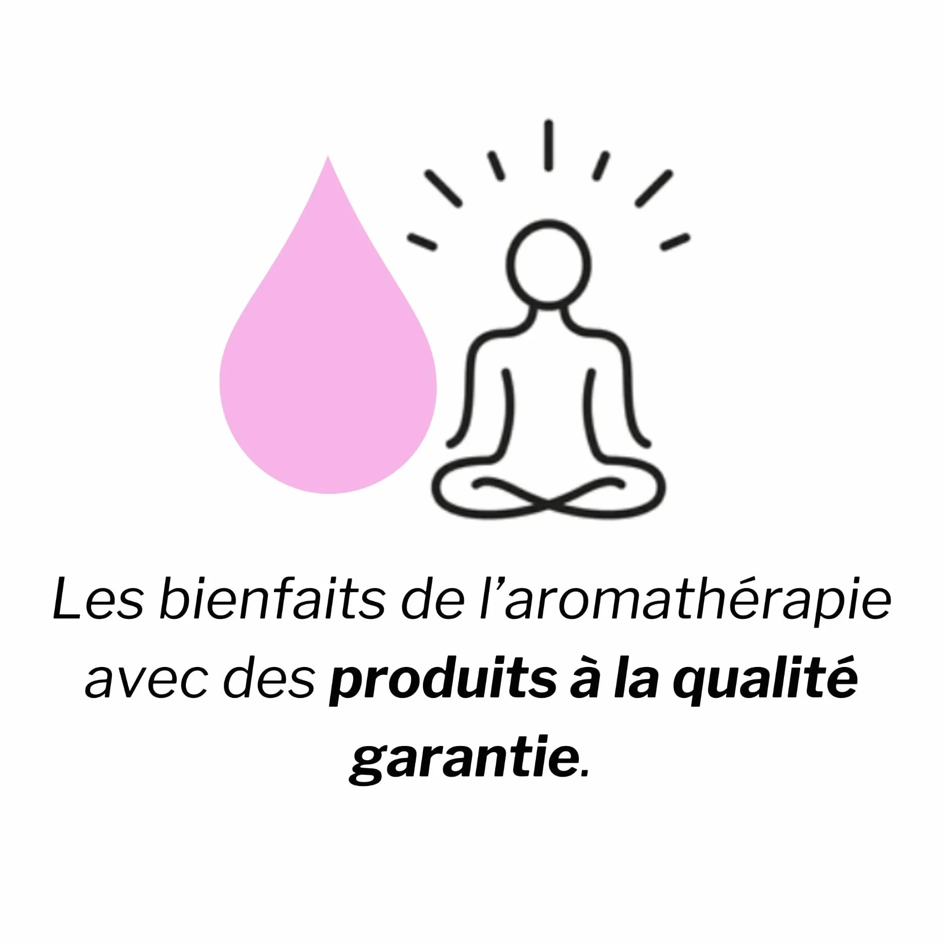 Huile Essentielle de Géranium Rosat 100% Pure Naturelle HEBBD 5ml VOSHUILES