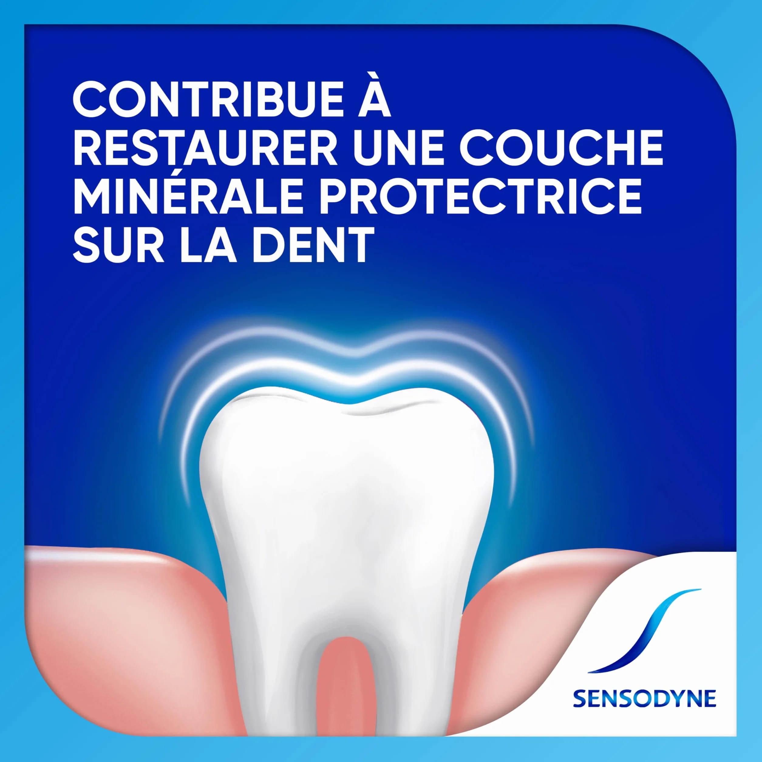 Sensodyne Dentifrice Répare et Protège Dents Sensibles Menthe Lot de 2x75ml