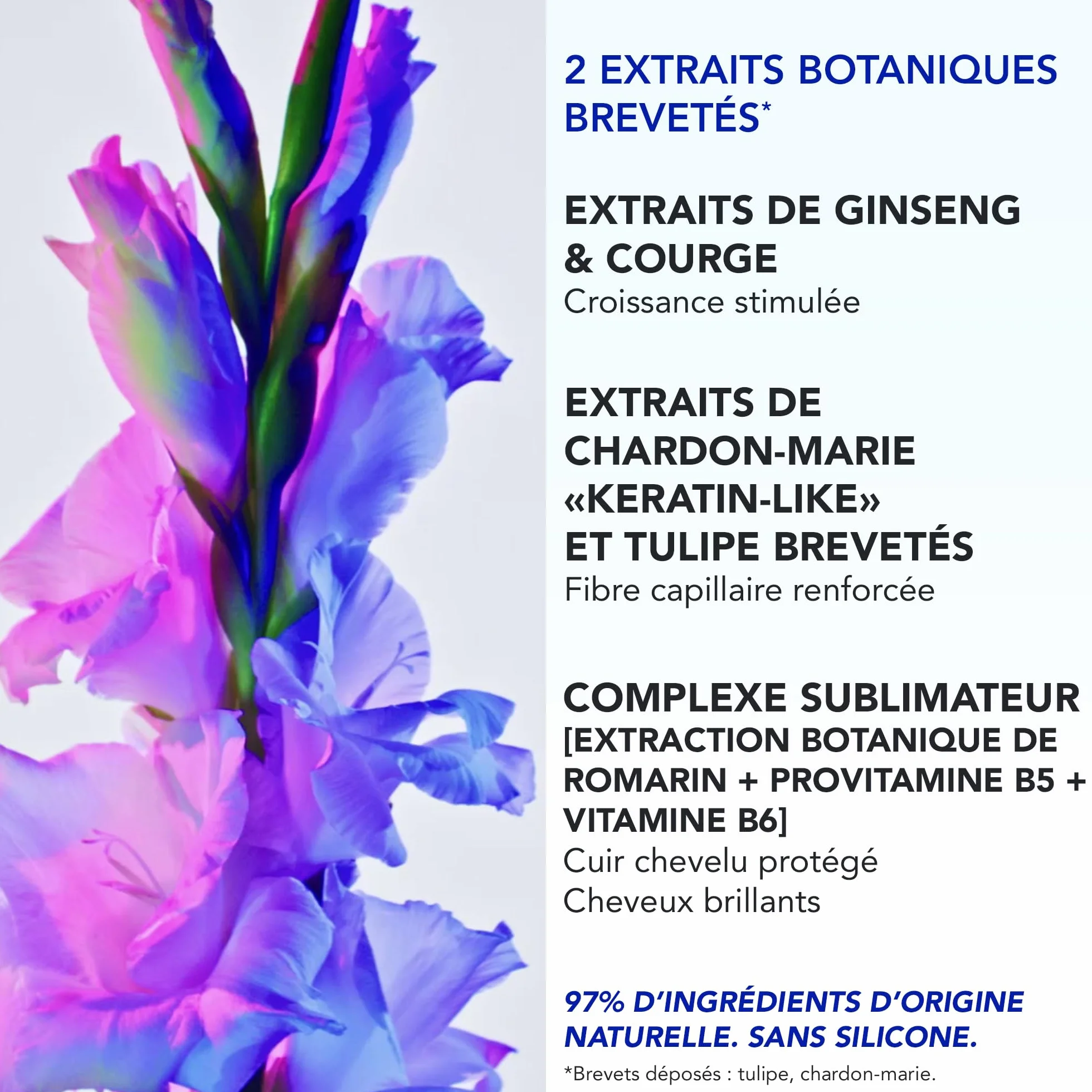 Phyto Paris - Phytophanere - Ultra Sérum Pousse Cheveux - 90% de Cheveux Plus Longs Plus Vite - Boosteur de Longueur - Cliniquement Prouvé - Extraits de Ginseng, Romarin, Vitamine B6Soin Sans Silicone
