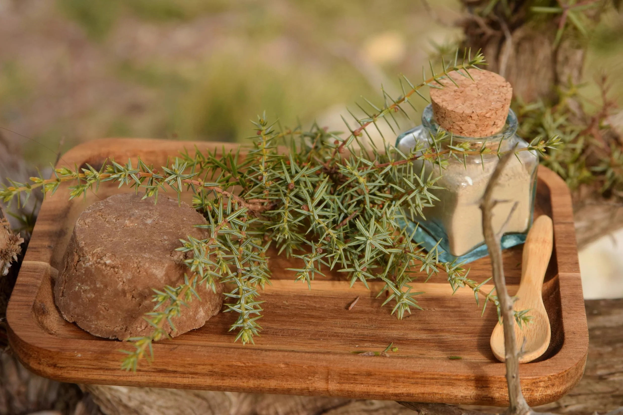 Shampoing solide Cèdre Rhassoul Cheveux secs à mixtes artisanal biologique français