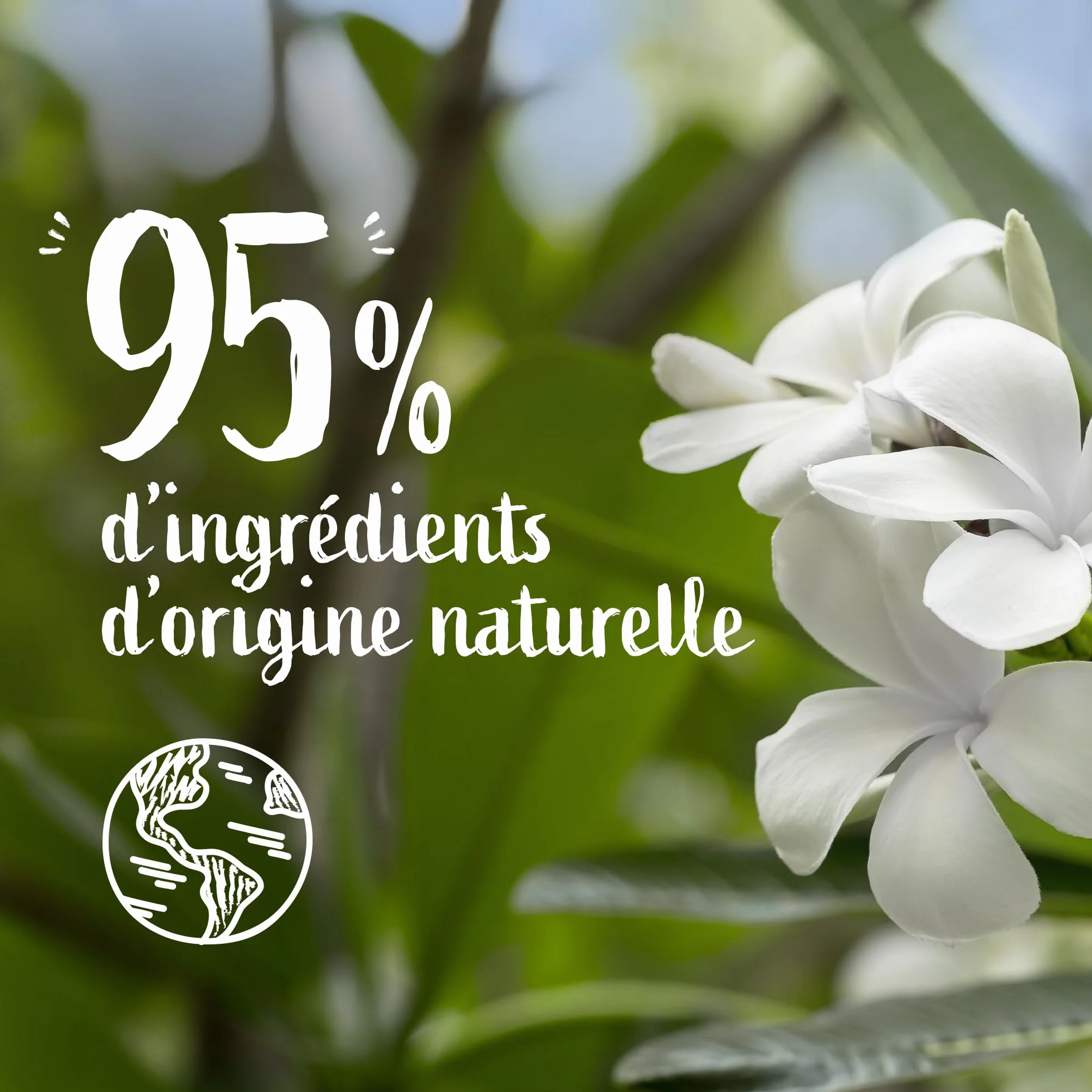 Le Petit Marseillais Crème Corps Nourrissante Fleur de Tiaré 380 ml Crème hydratante peaux très sèches Formule vegan