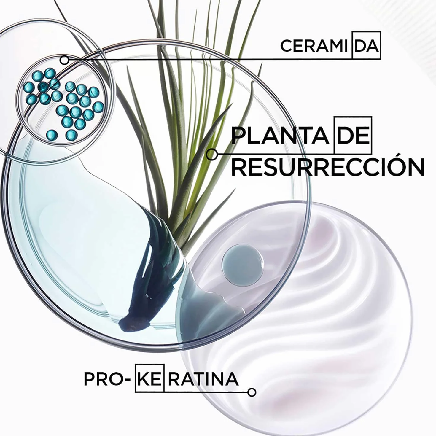 KERASTASE Résistance Masque Force Architecte 200 ml