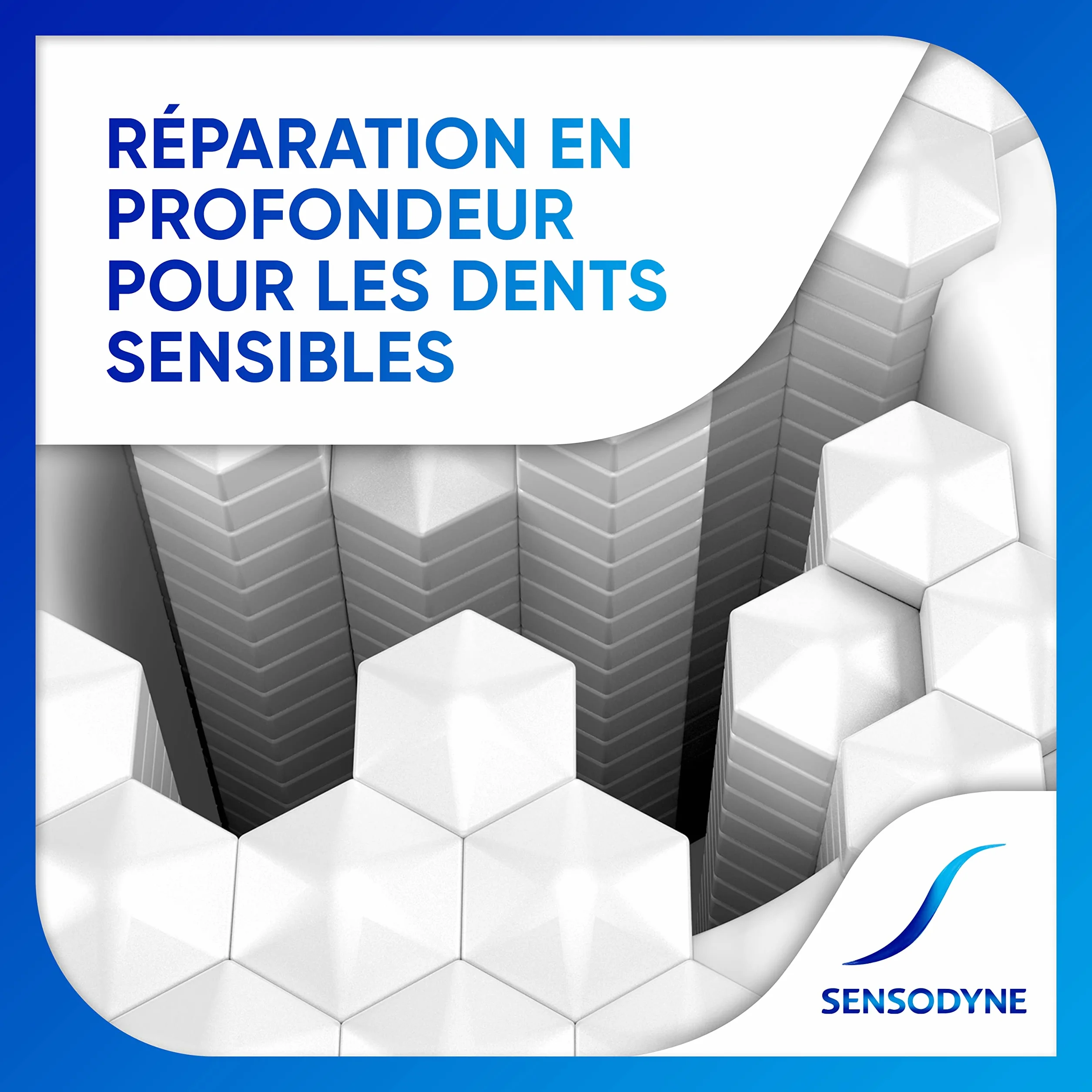 Sensodyne Dentifrice Répare et Protège Dents Sensibles Menthe Lot de 2x75ml