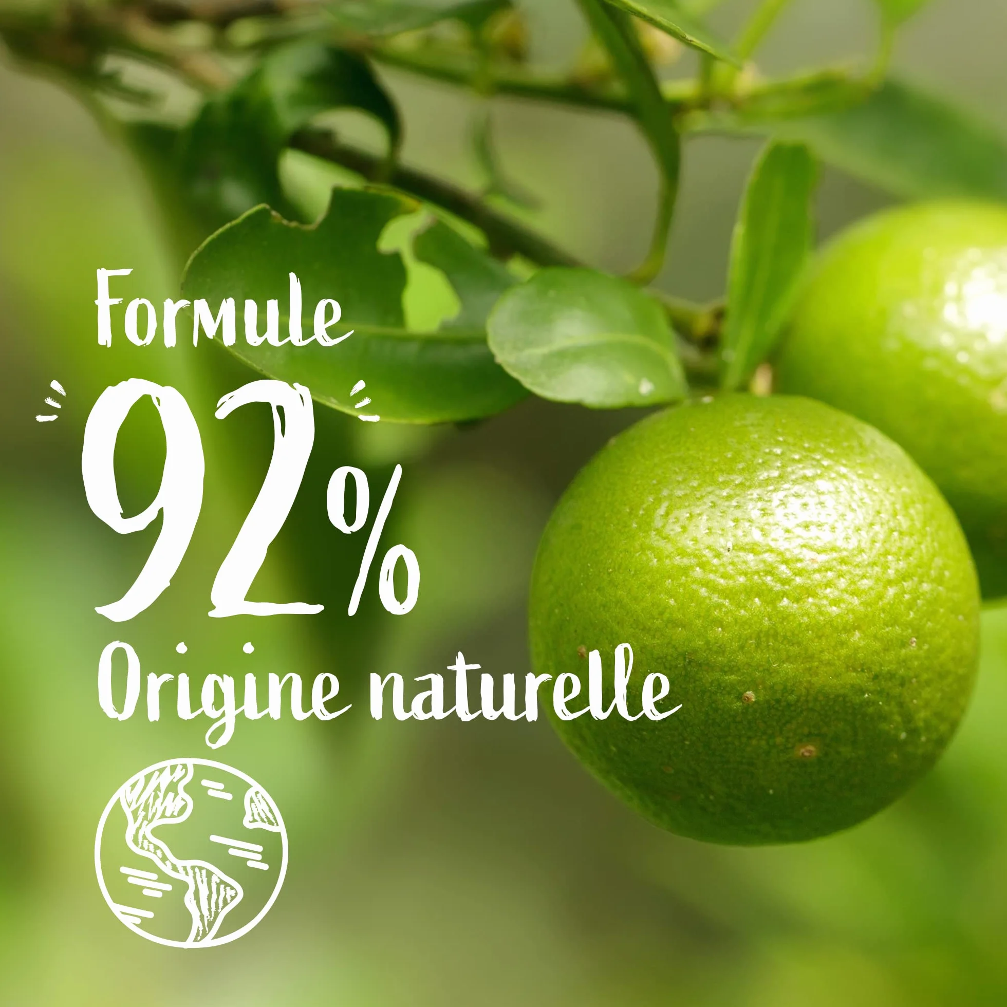 Le Petit Marseillais Gel Douche Extra Doux Mandarine Bio Citron Vert Bio 250ml 92% Ingrédients Naturels Flacon Recyclable