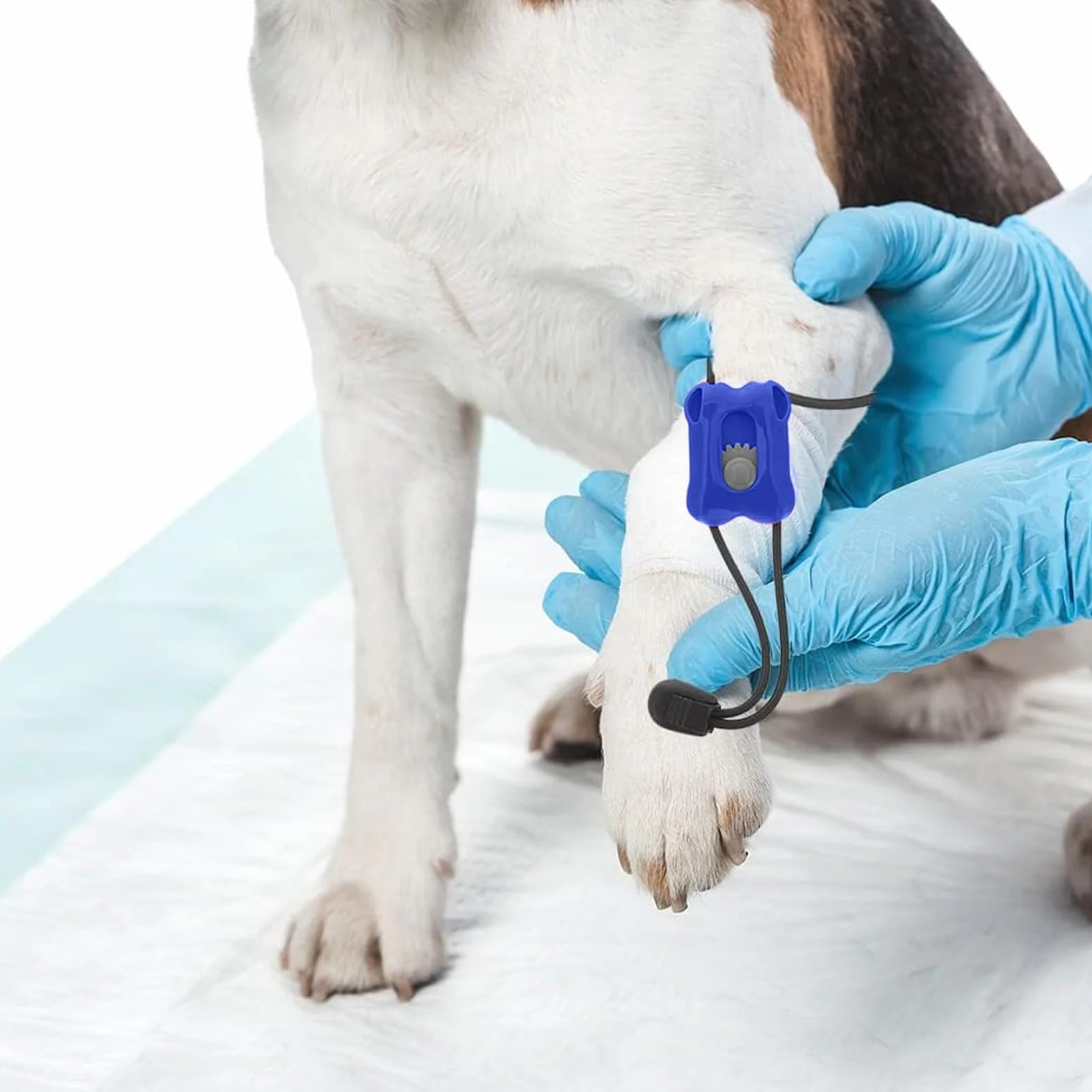 Garrot Élastique Premiers Secours Bandage Portable Contrôle Saignement Immédiat Chien Chat
