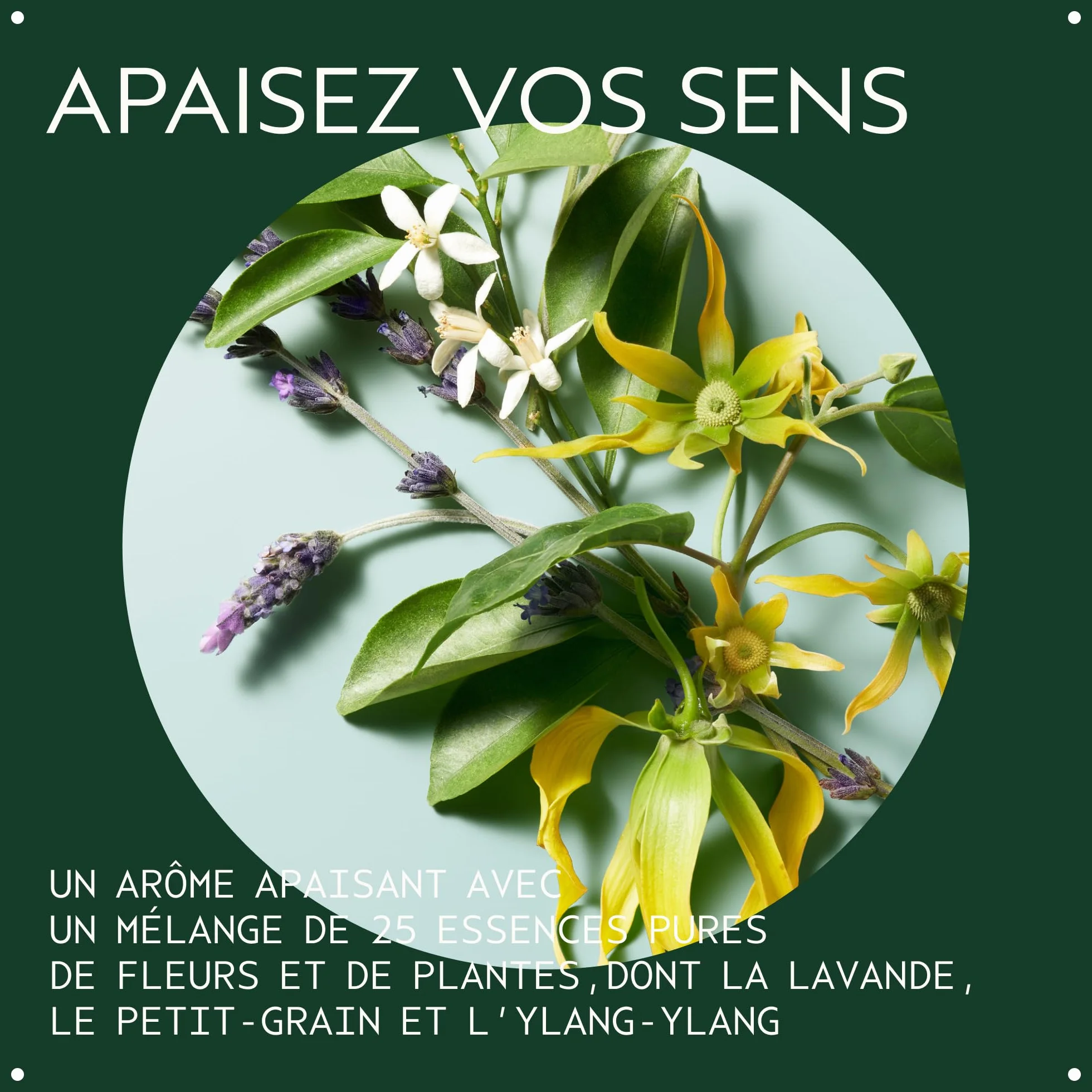 Aveda Shampowder Shampoing Sec | Sans aérosol | Volume et texture | Shampoing sans rinçage | Pour cheveux fins | Arôme lavande, 56 g