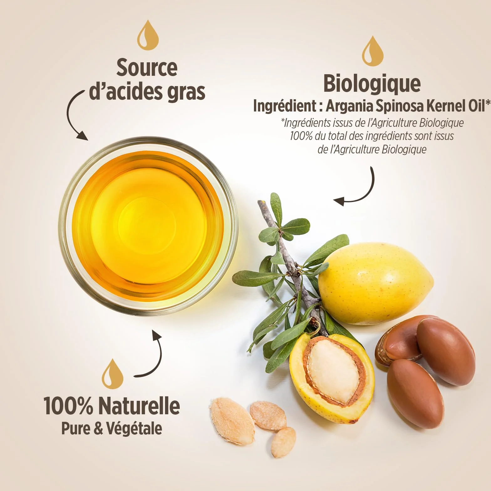 Huile d'Argan Bio du Maroc 250 ml