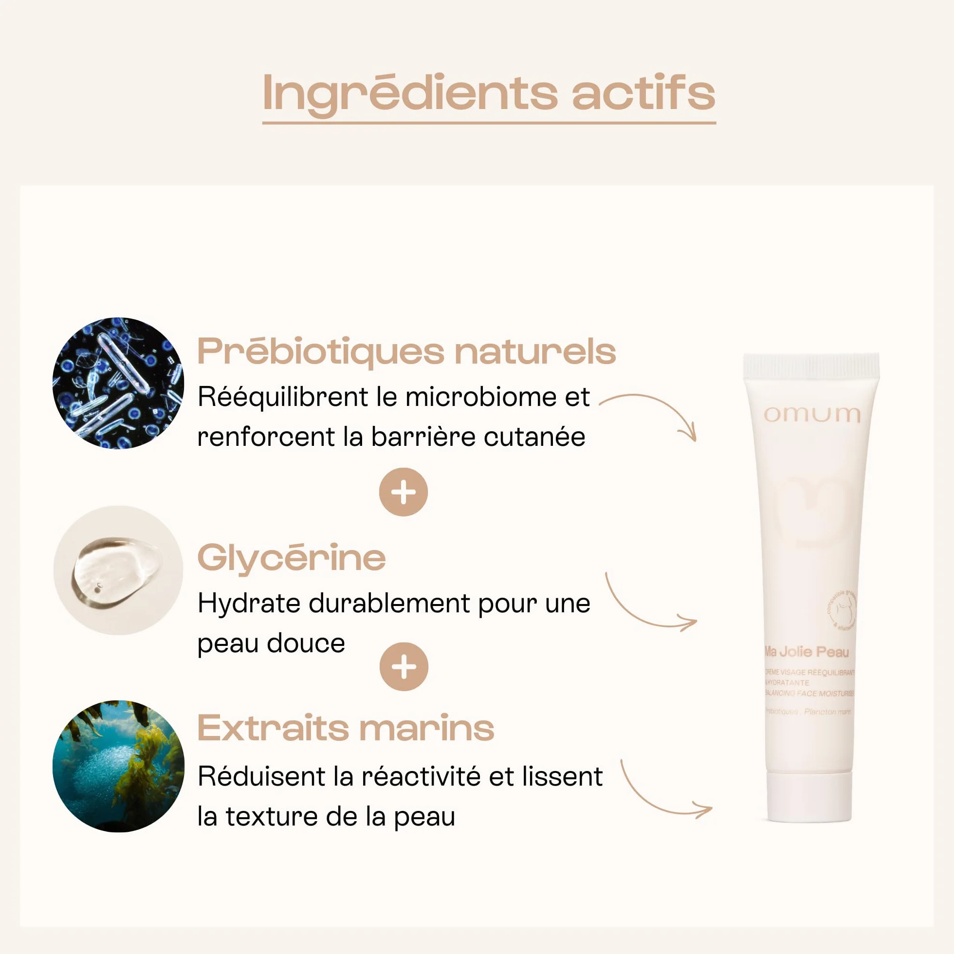 OMUM - Ma Jolie Peau - Crème visage rééquilibrante & hydratante aux prébiotiques naturels - Peaux mixtes et peaux fragilisées - Anti rougeur et anti bouton - Compatible grossesse - Vegan - 40 ml