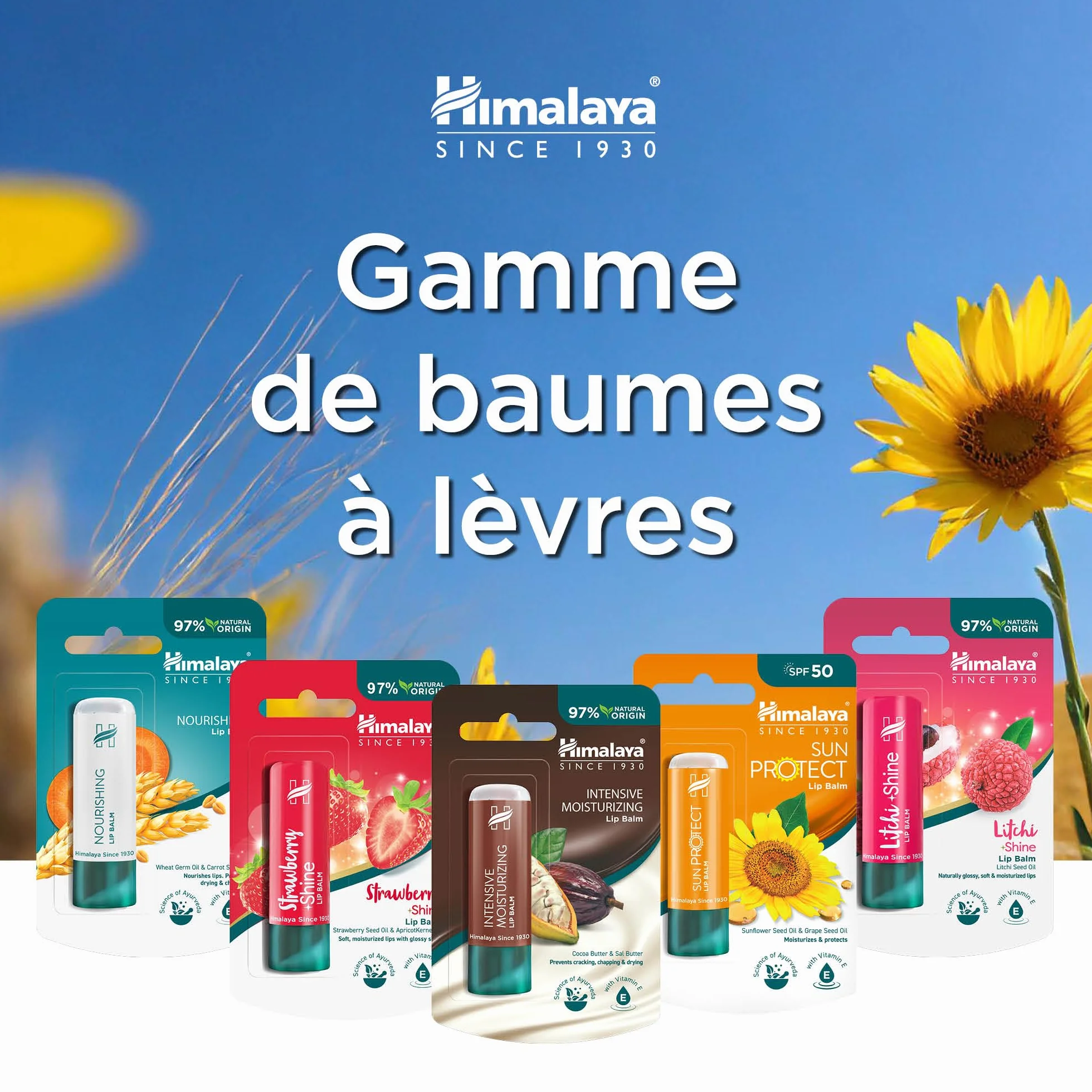 Himalaya Sun Protect Baume à lèvres SPF 50 UVA 4,5g