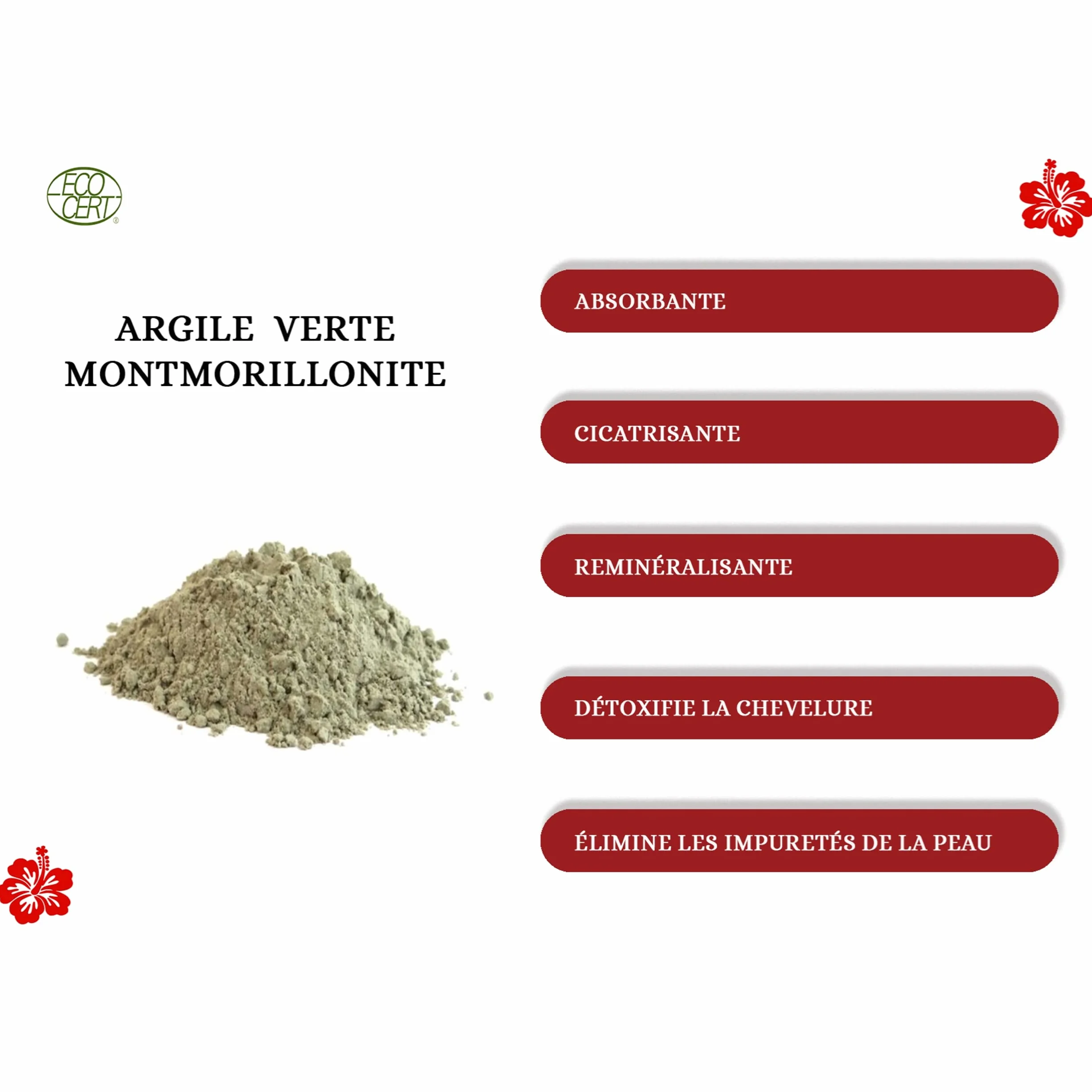 Argile verte montmorillonite ECO-CERT pinceau silicone nettoie pores hydrate adoucit peau détoxifie cheveux