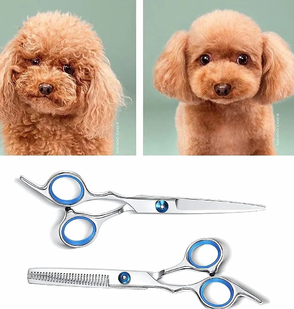 Ciseaux De Coiffure Professionnels 7 Pièces Kit Acier Inoxydable Pour Cheveux Barbier Gaucher