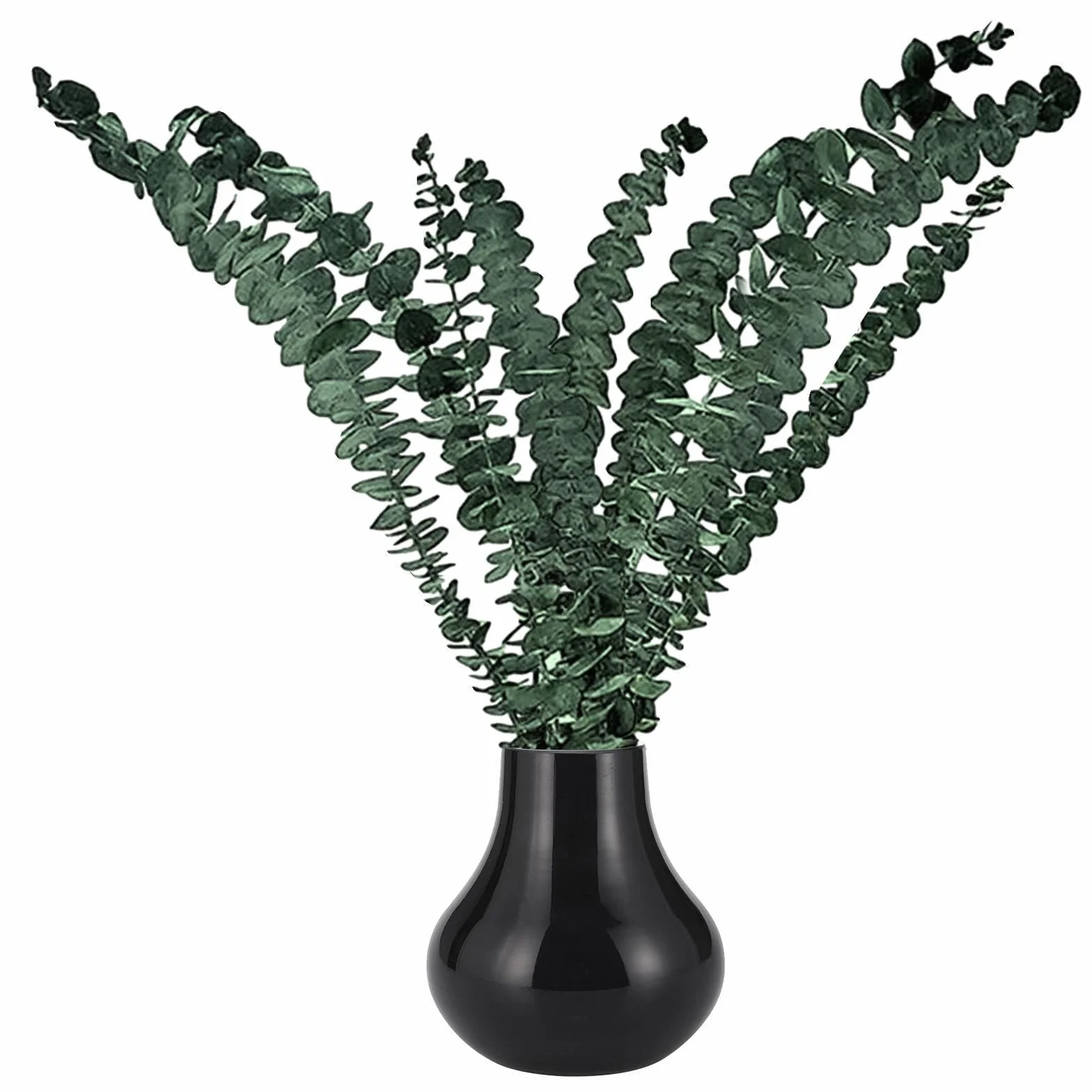 Tiges d'Eucalyptus pour Douche - Naturelles Grand Format 10 Unités, Arrangements Fleurs Sèches Décoration Maison Salle de Bain