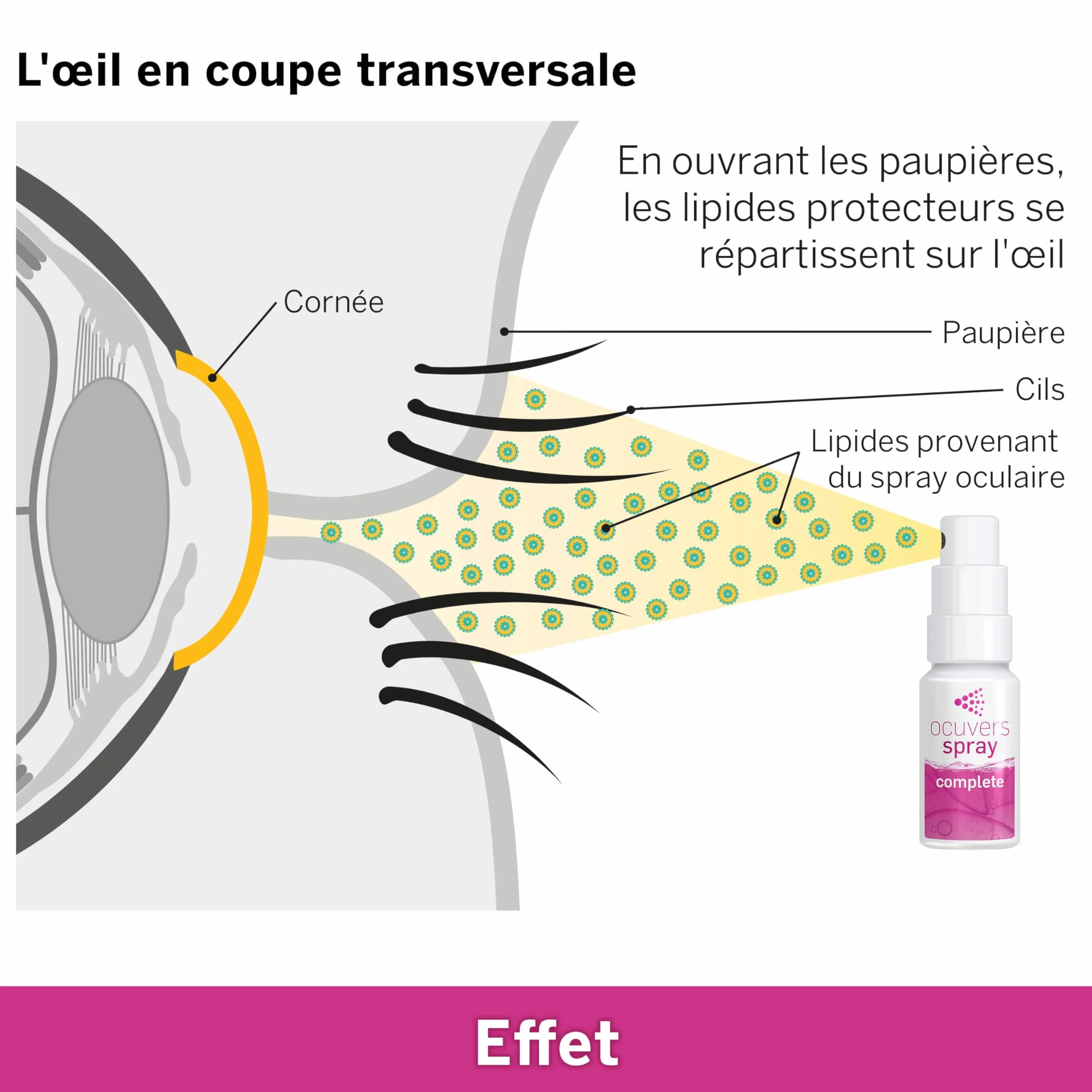 Ocuvers Complete Spray pour les yeux 0,3% acide hyaluronique liposomes aloe vera vitamine B5 E 10 ml