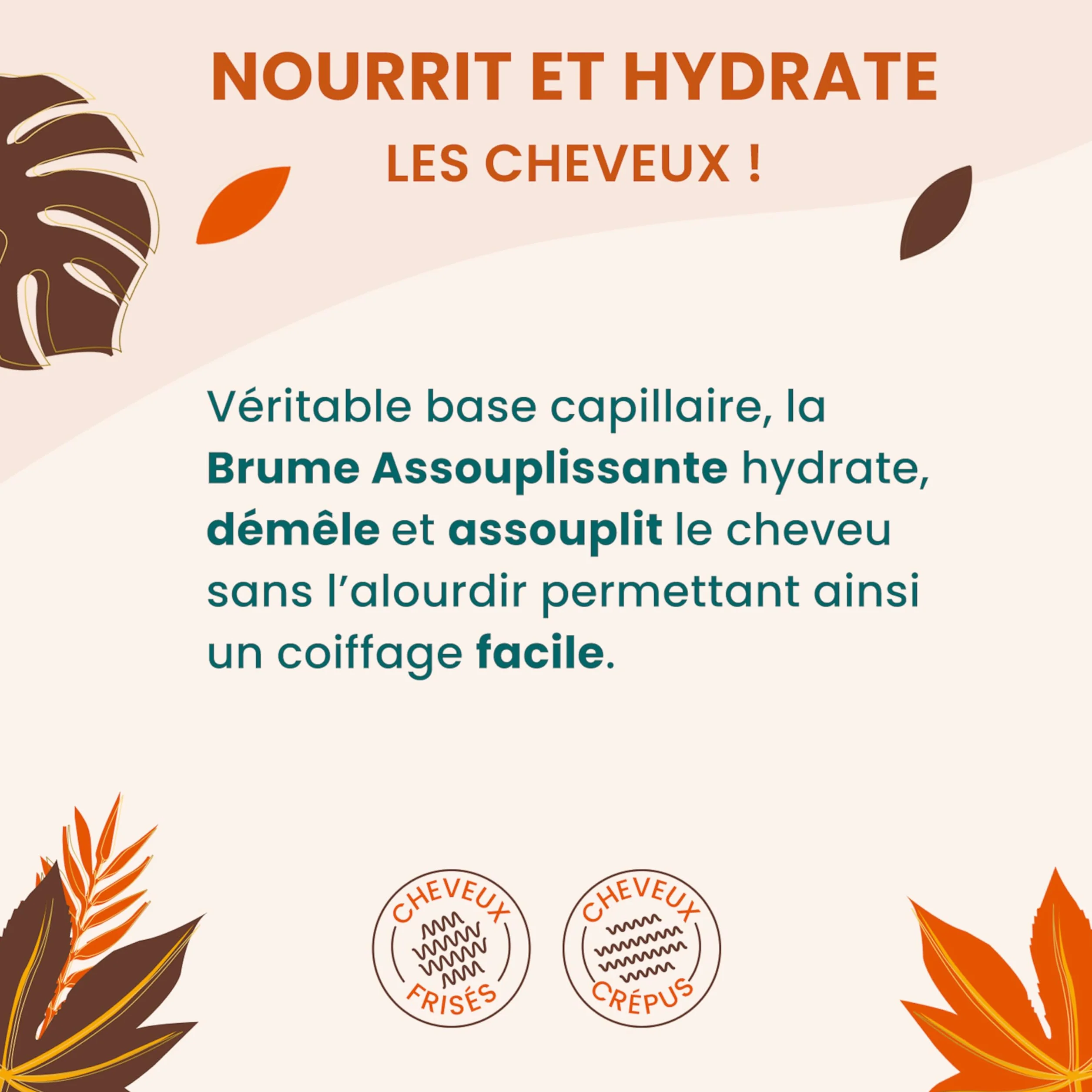 Activilong Brume Assouplissante Actiforce Cheveux Frisés Crépus Assouplit Démêle Hydrate 250ml