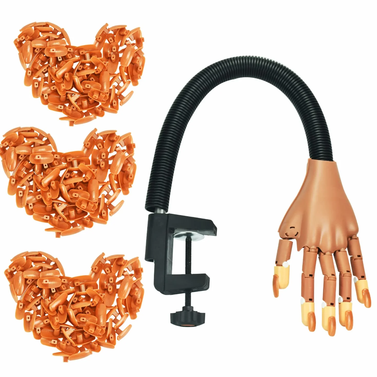 Main d'Entrainement Manucure, Faux ongles, 300 Morceaux d'Ongles et Fausse Main Manucure, Amovible Main Entrainement Ongles pour Manucure à Ongles Bricolage (brun)