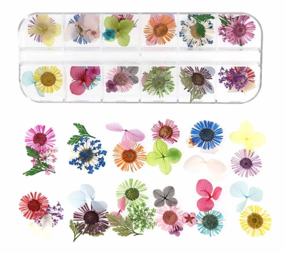 KAHEIGN 96 Pièces Fleur Séchée pour Ongles, 3D Nail Art Véritable Fleur Séchée Manucure Décoration