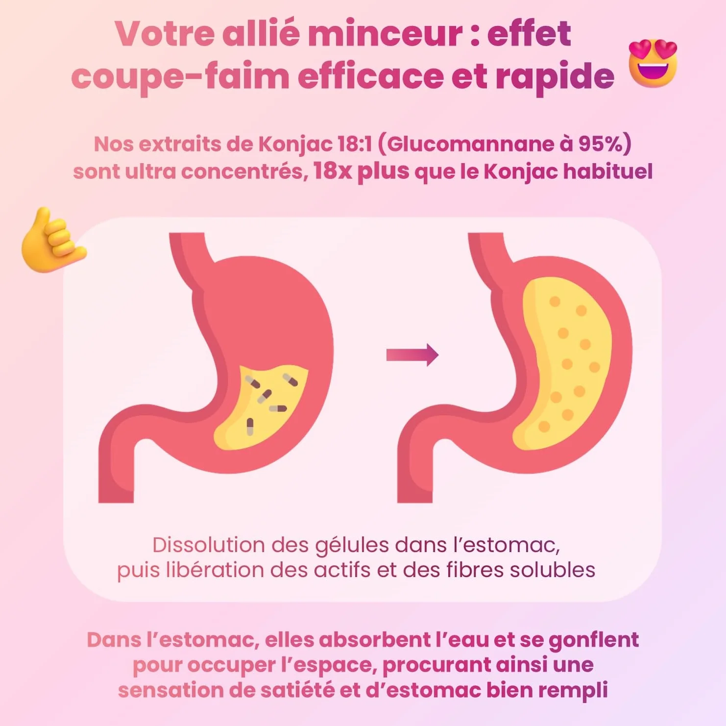 Coupe Faim Puissant Konjac Morosil Berbérine Chrome 90 Gélules Anti-Fringales Gestion Appétit Minceur Perte de Poids Naturel Vegan