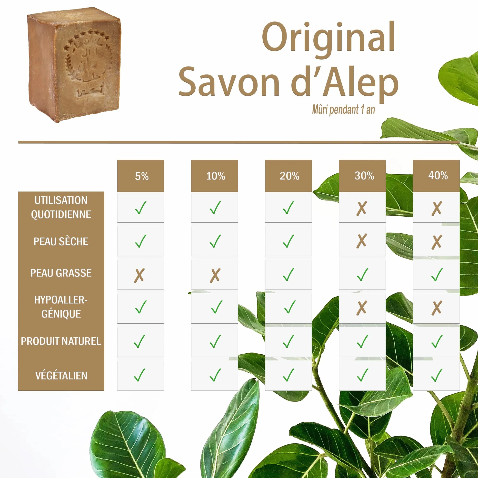 TUMELO Savon d'Alep Original 4 x 200g (800g) 95% d'huile d'olive 5% d'huile de baies de laurier + Sac de Salvon - Savon naturel - Savon solide pour les cheveux/Savon de douche