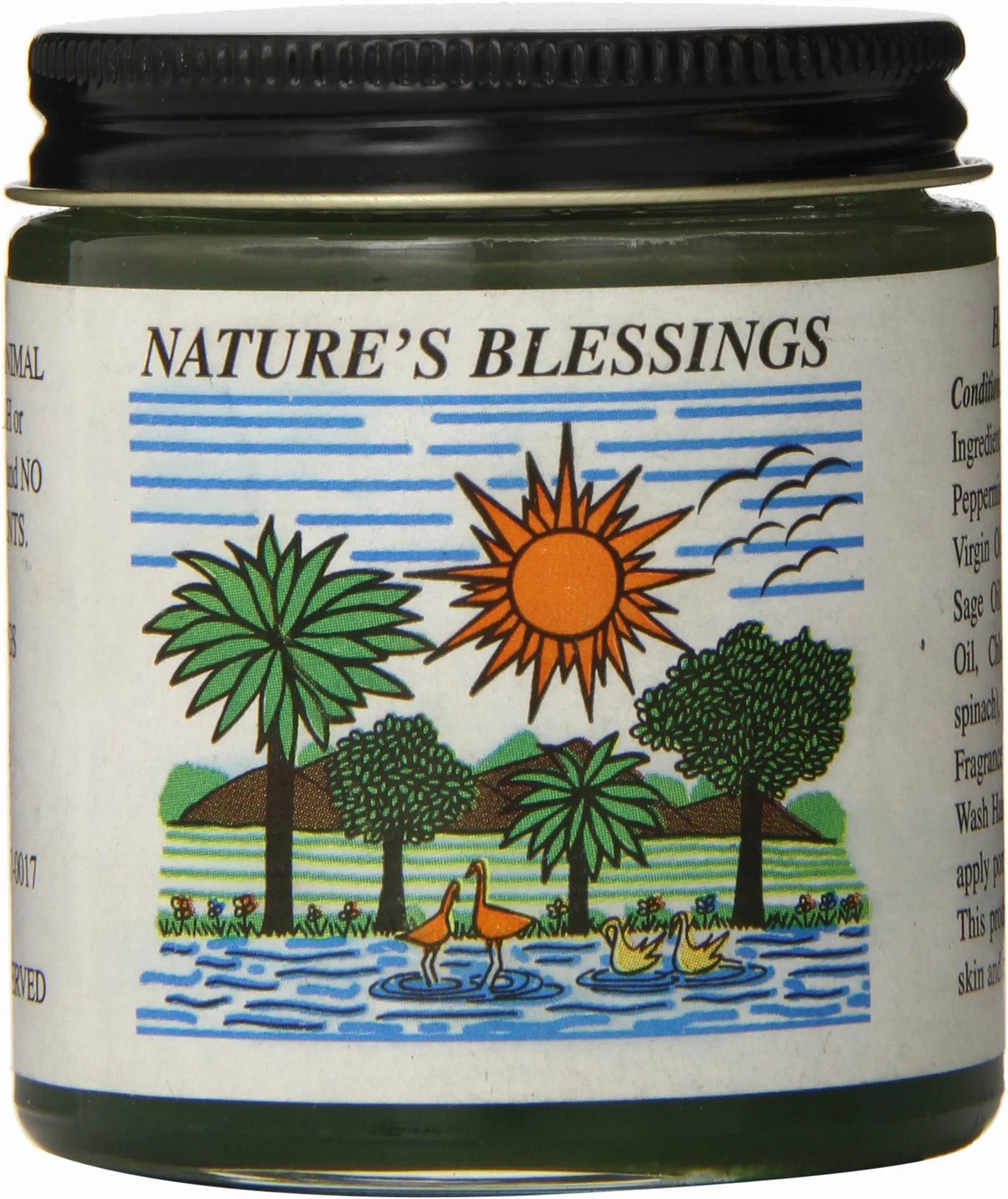 Nature's Blessings Hair Pomade 4 oz. by House of Nubian Inc