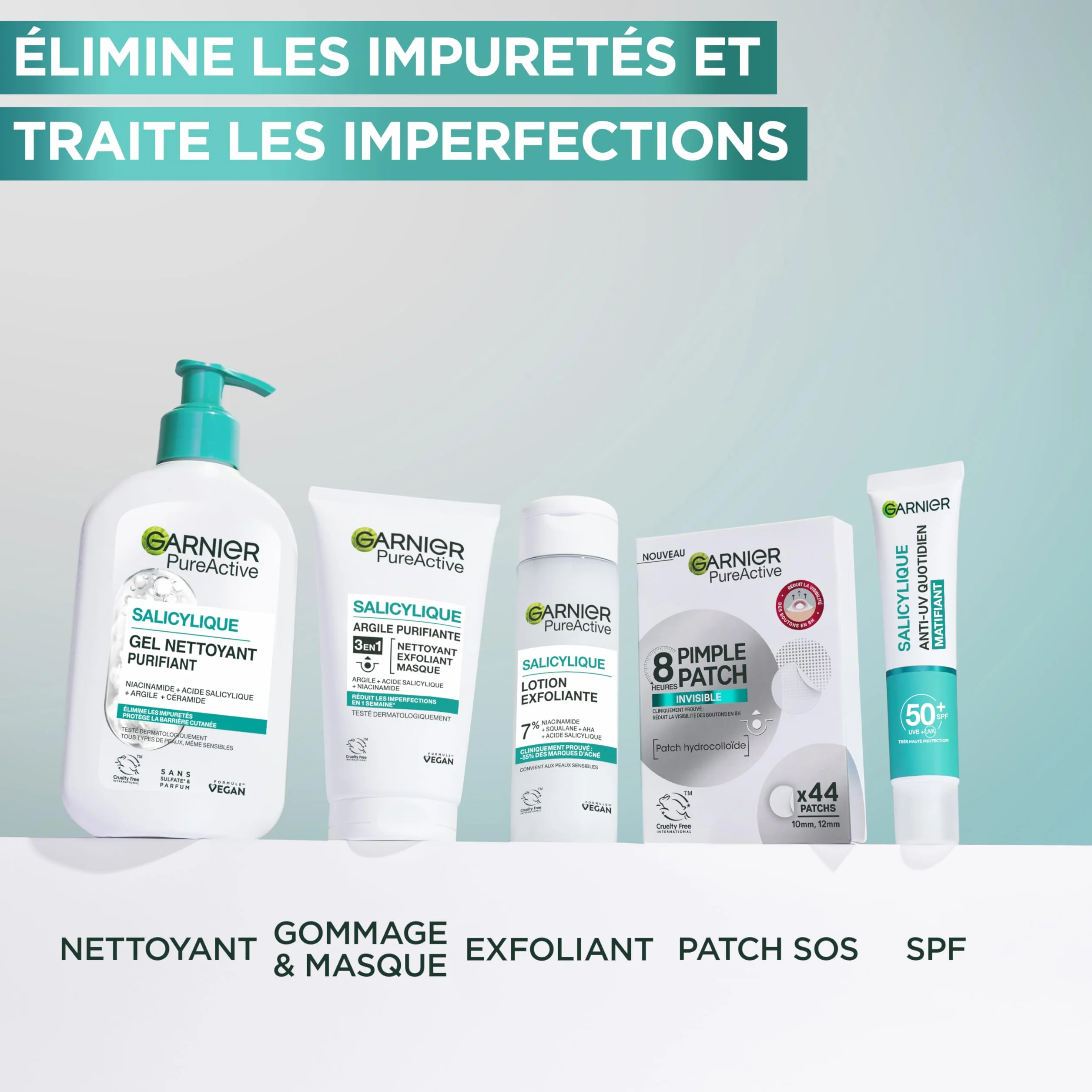 Garnier Pure Active Gel Nettoyant Moussant 250 ml Purifie Hydrate Élimine Impuretés Acide Hyaluronique Céramide Argile Vegan