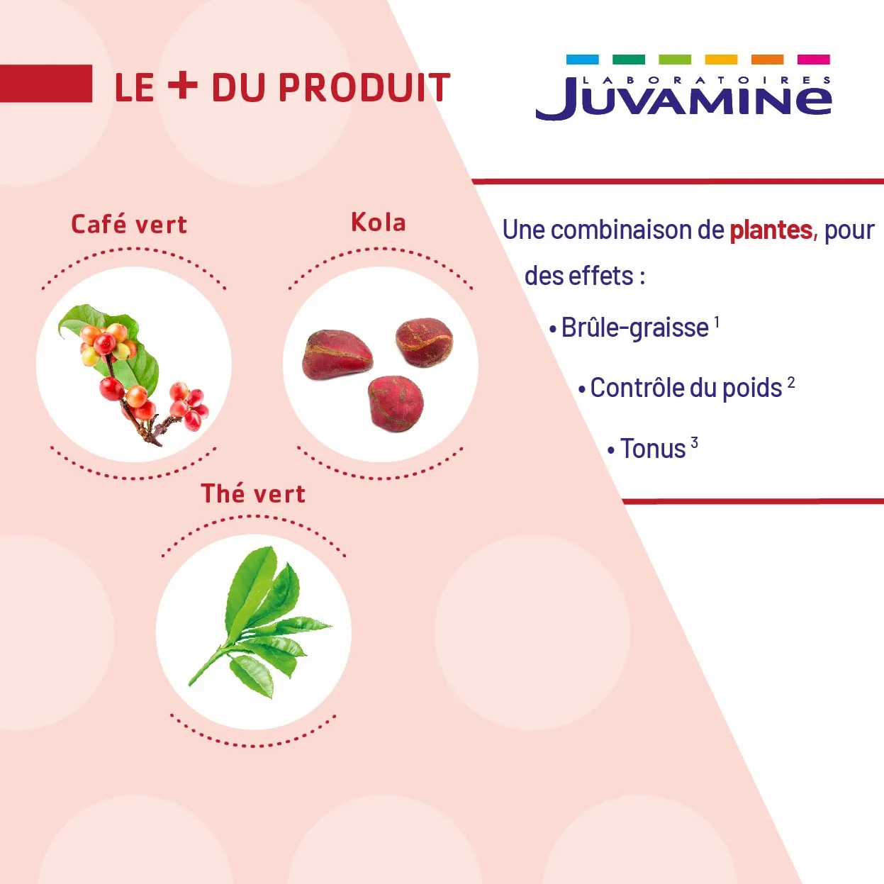 JUVAMINE Brûle Graisse Programme Minceur Thé Vert Kola Café Vert Vegan 60 Gélules Fabriqué en France