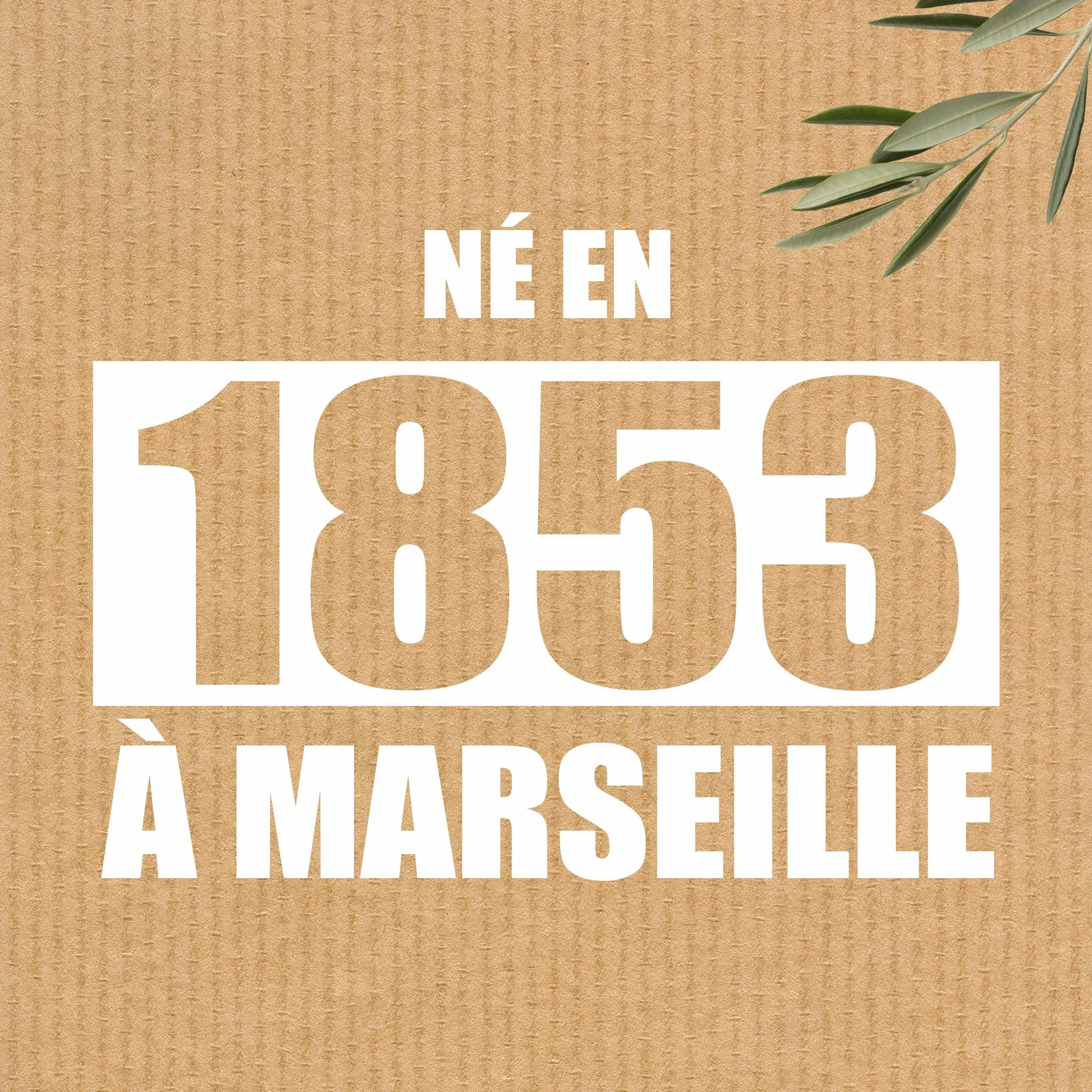 Savon Le Naturel Savon Liquide Extra Pur de Marseille à la Fleur d'Oranger 500 ml Antibactérien