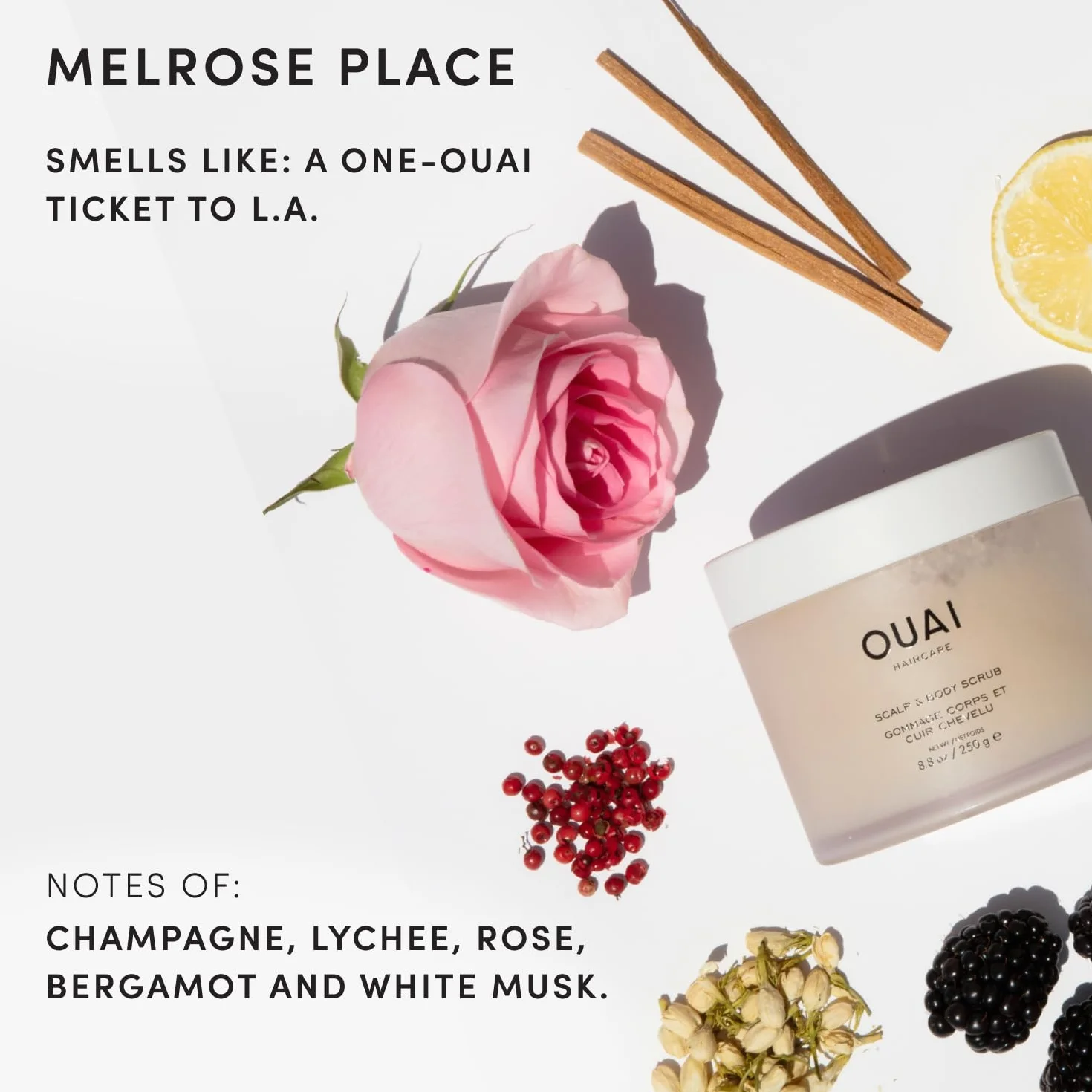 OUAI Gommage cuir chevelu & corps format voyage, Melrose Place - Gommage exfoliant au sucre + mélange d’huile de coco pour une peau lisse et hydratée - Exfoliant doux pour éliminer l’accumulation de p
