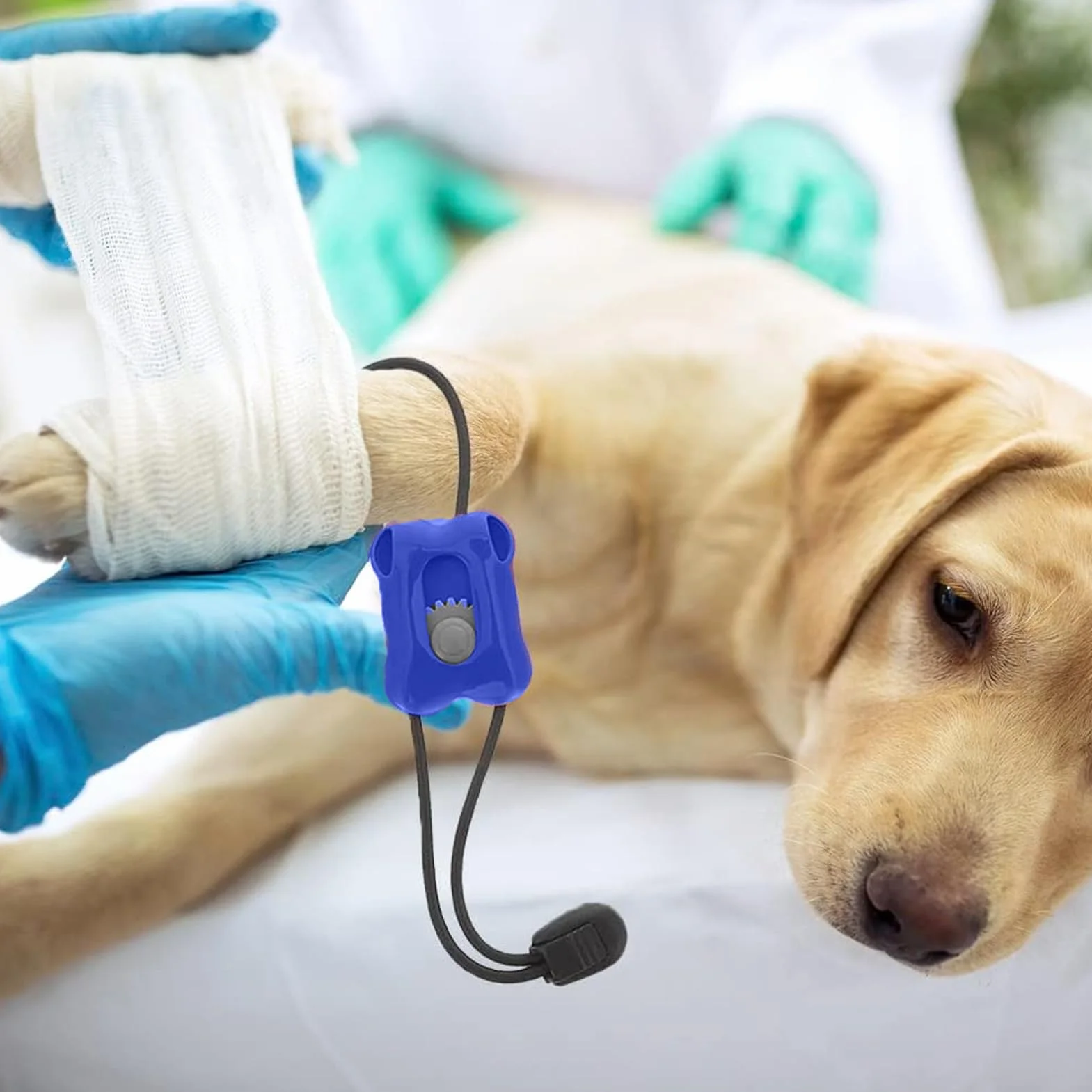 Garrot Élastique Premiers Secours Bandage Portable Contrôle Saignement Immédiat Chien Chat