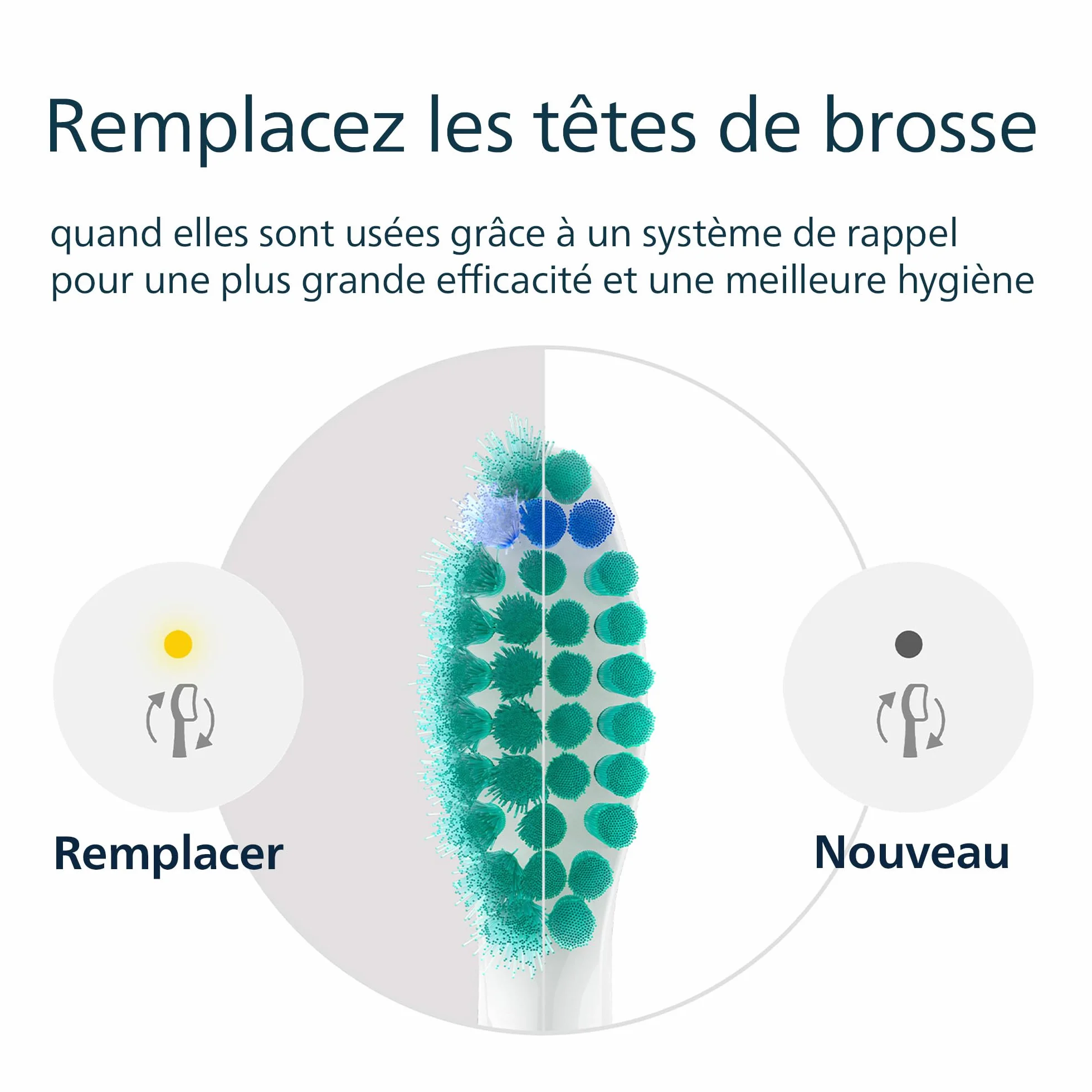 Philips Sonicare C1 ProResults têtes de brosse à dents de rechange d'origine blanc lot de 8 HX6018/87