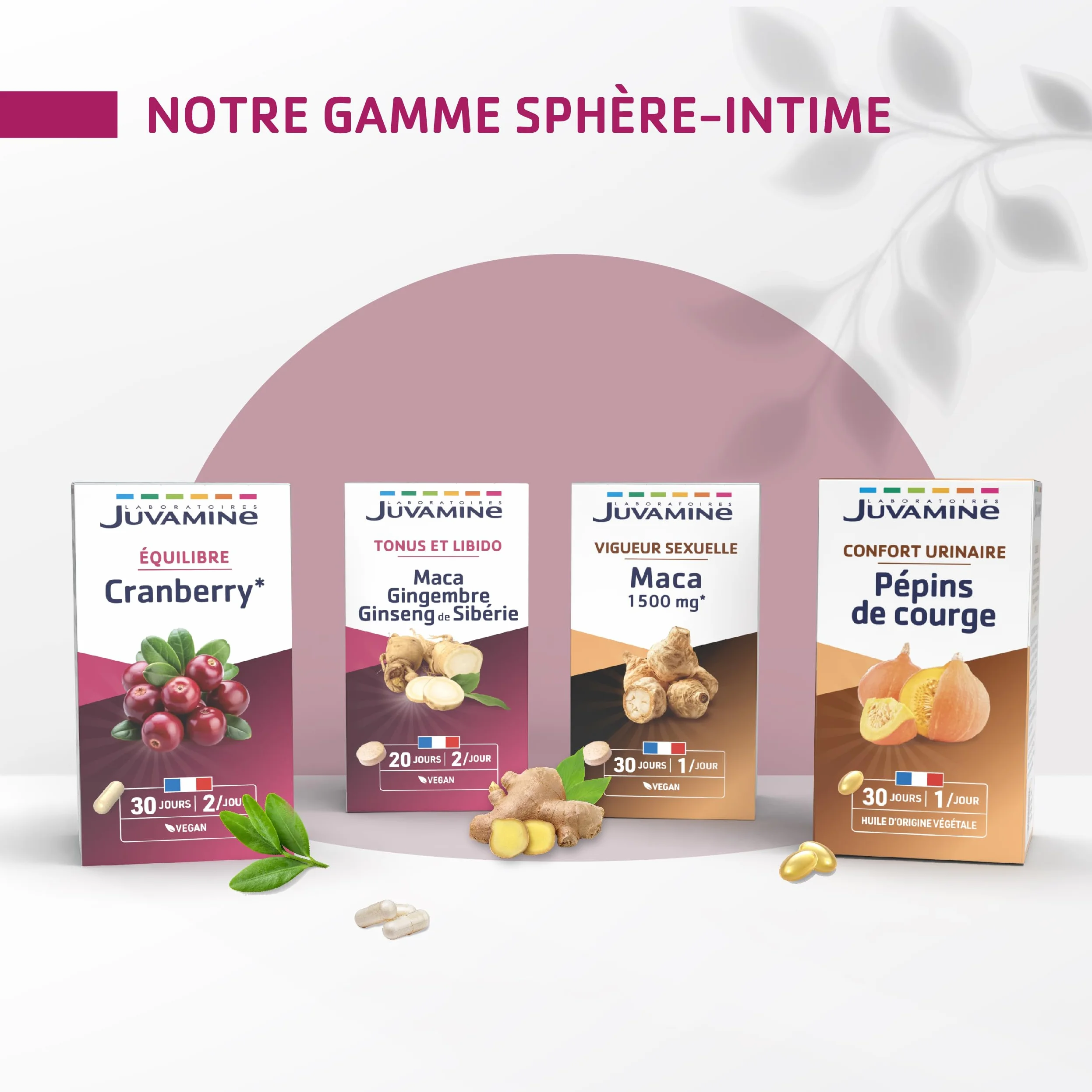 JUVAMINE Cranberry Bien être Urinaire 60 Gélules Fabriqué en France