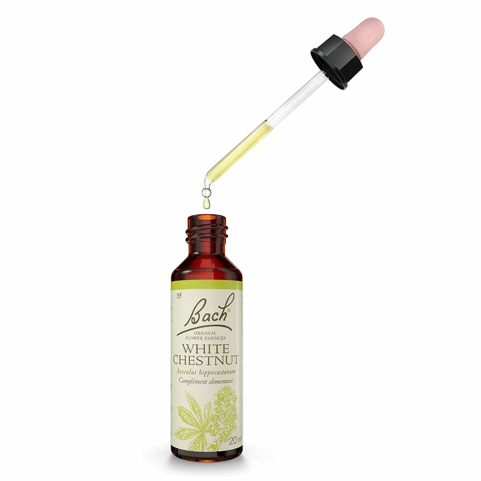 FLEURS DE BACH ORIGINAL White Chestnut No 35 Élixir Floral Naturel Compte-Gouttes 20 ml Vegan