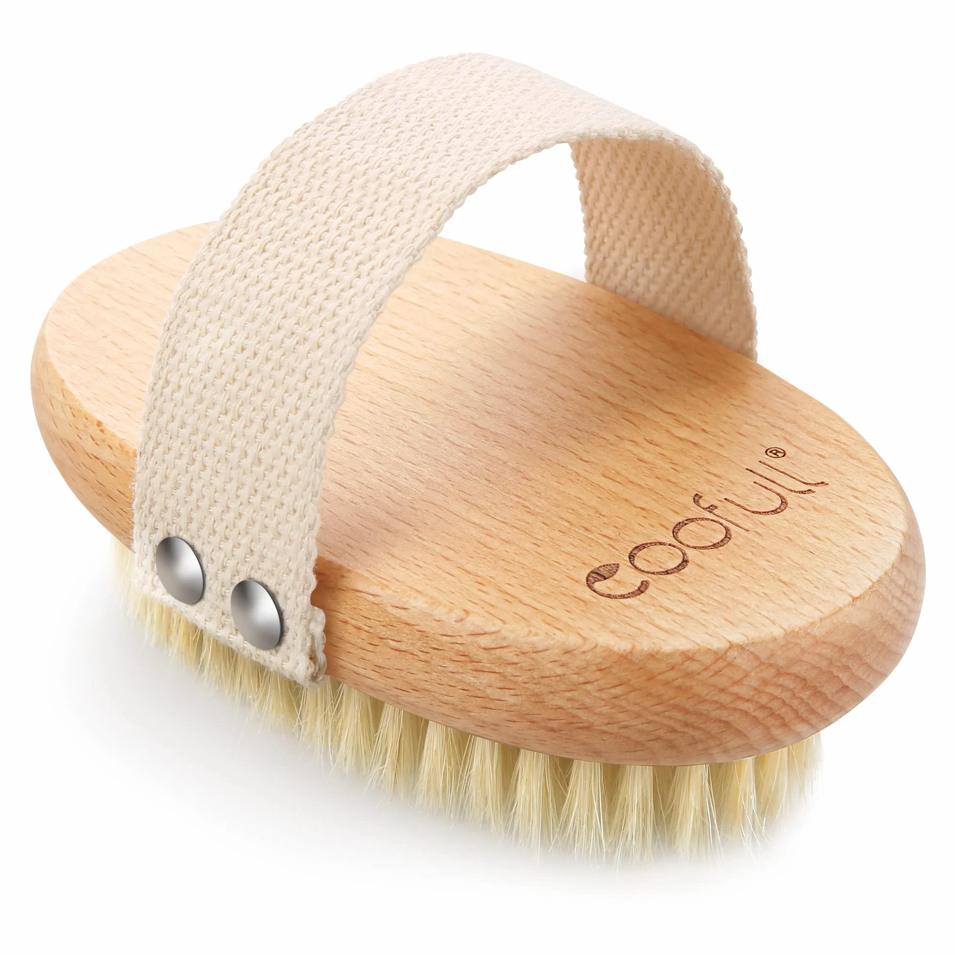 Brosse à sec pour le corps en bois de hêtre naturel 100% poils de sanglier anti-cellulite