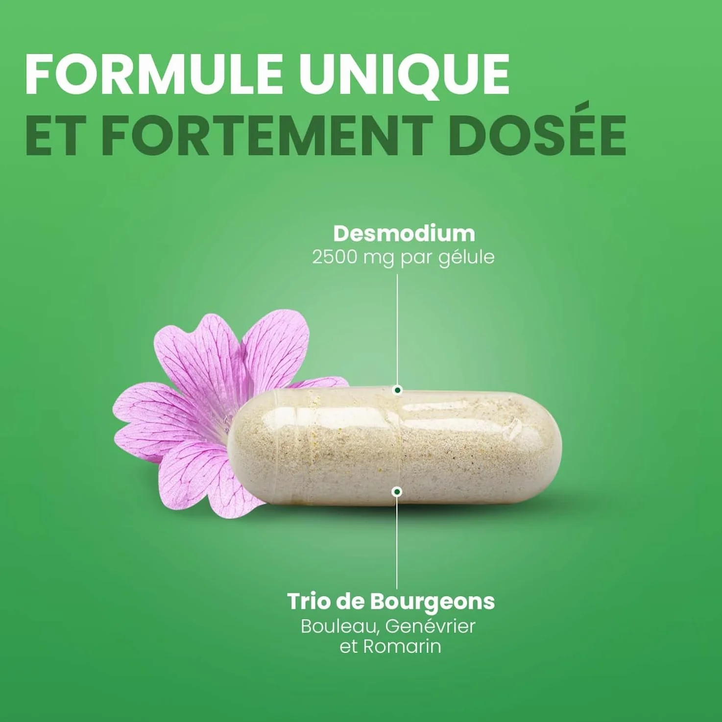 Santarome Bio Desmodium 2500 Complément Alimentaire Détoxifiant du Foie 30 Gélules Végan Made In France