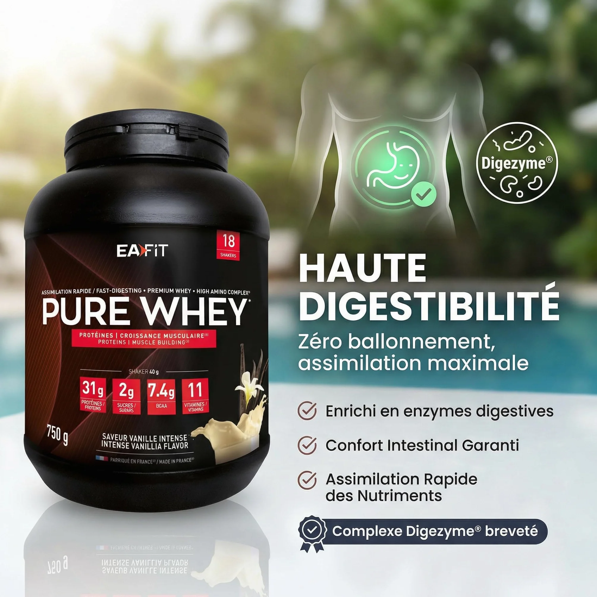 EAFIT WHEY PROTEIN Vanille 750g 31g Proteine BCAA Shaker Pre Workout