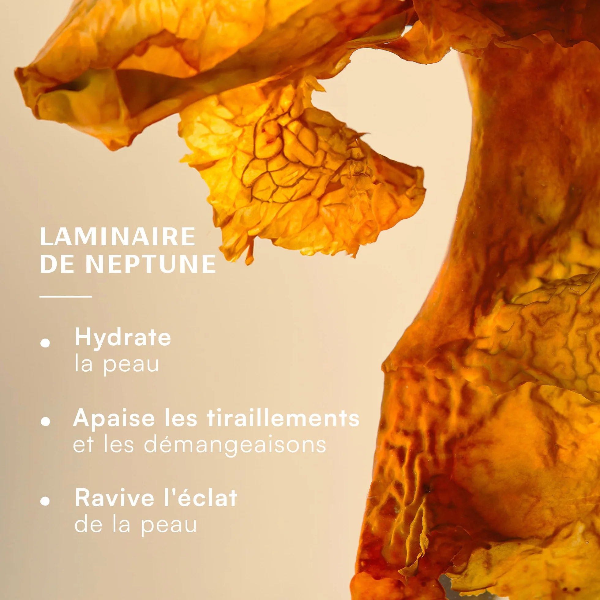 Laboratoires de Biarritz - Huile Démaquillante Visage, Yeux, Lèvres - Démaquille, Hydrate et Apaise - Efficace sur Maquillage Waterproof - Certifiée Bio - Formule Vegan - Fabriquée en France - 200 ml