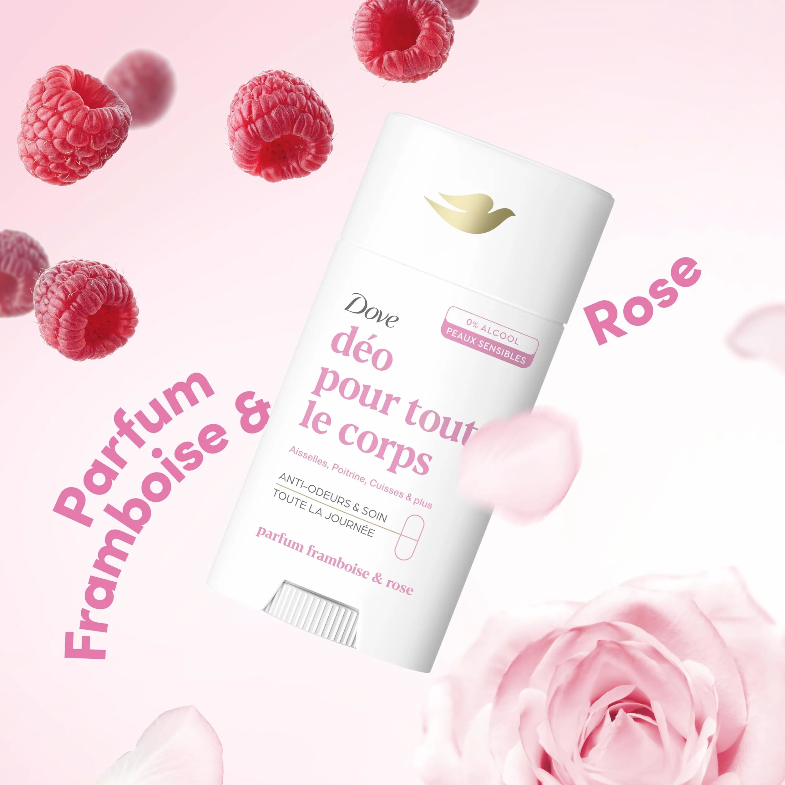 Dove Déodorant Stick Framboise & Rose Anti Odeurs 72h Peaux Sensibles 75ml