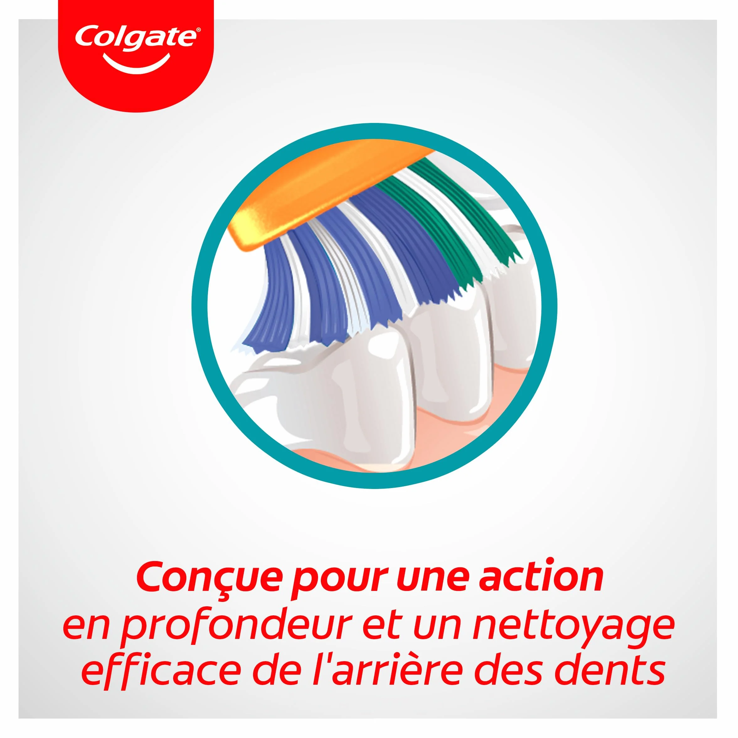 COLGATE Brosse à dents Triple Action Souple Lot de 3