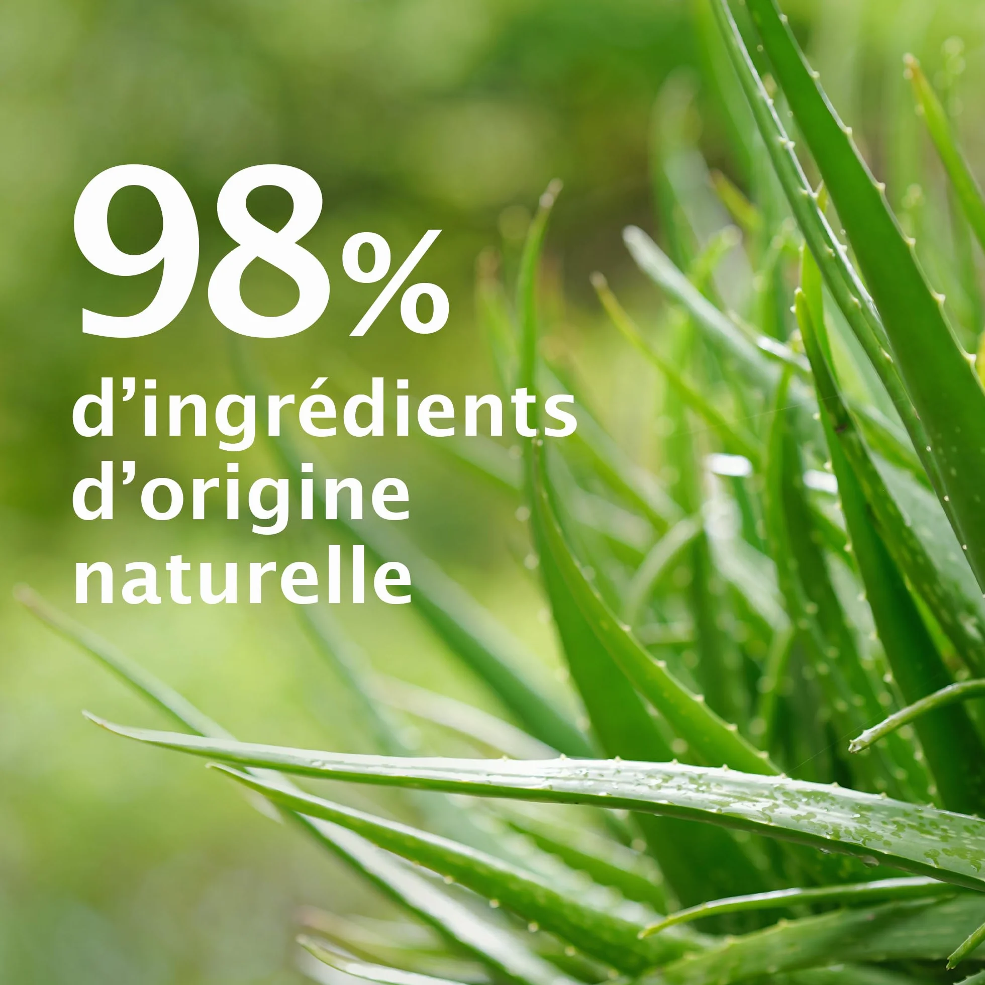 Le Petit Marseillais Gel Douche Hydratant Aloe Vera Bio 400 ml