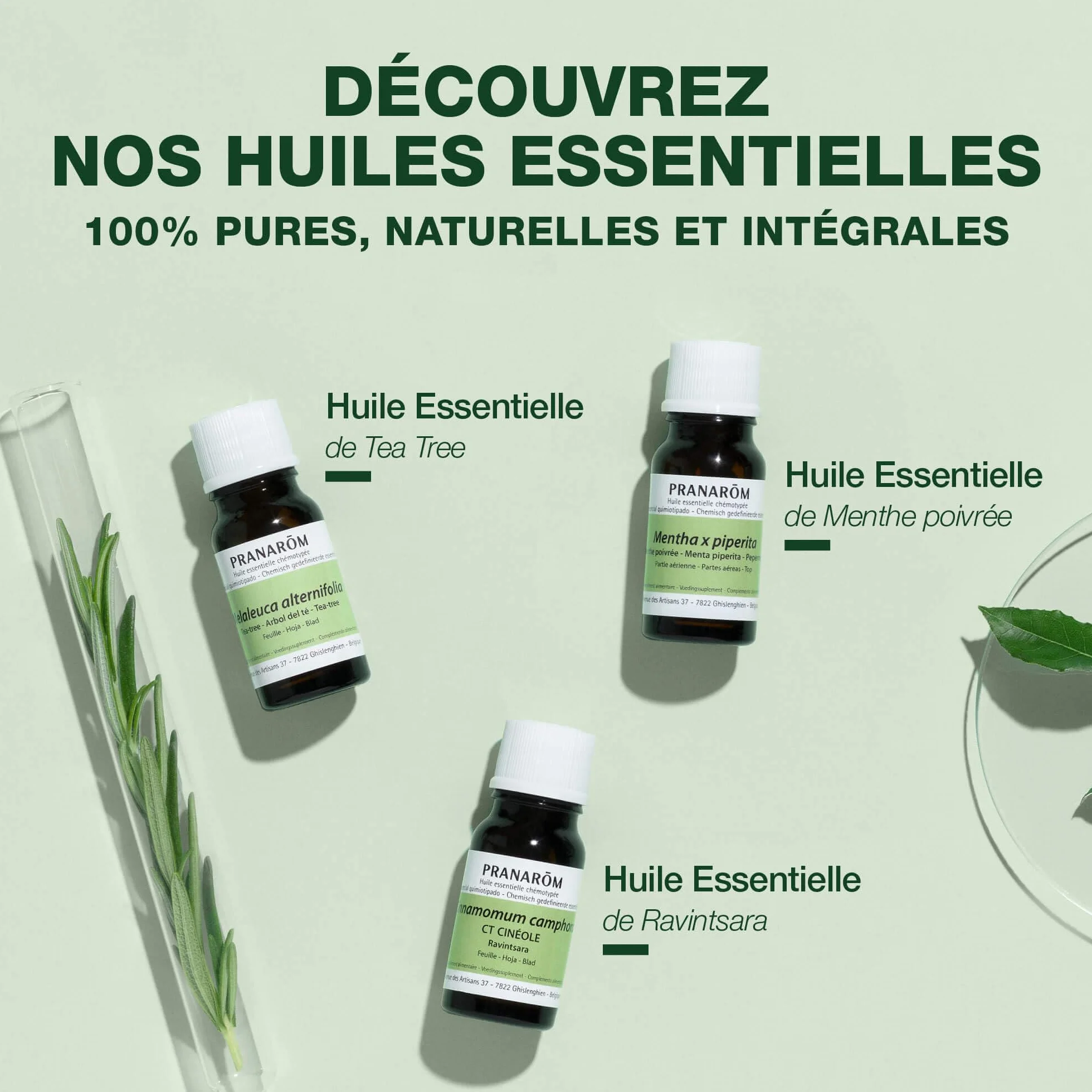 Huile Essentielle Chémotypée Gaulthérie Couchée 100% Pure 10 ml