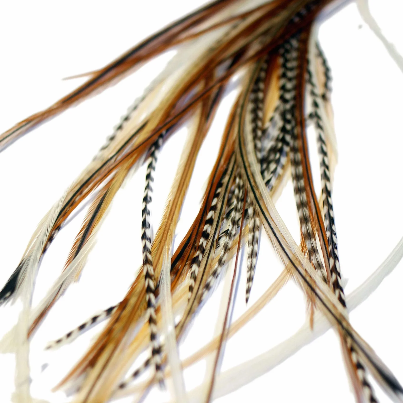 Extensions De Cheveux En Vraies Plumes + anneaux: Mixed Naturals (5 plumes)