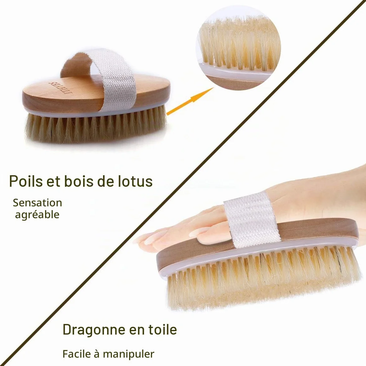 Brosse exfoliante naturelle pour le corps élimine cellulites peau morte