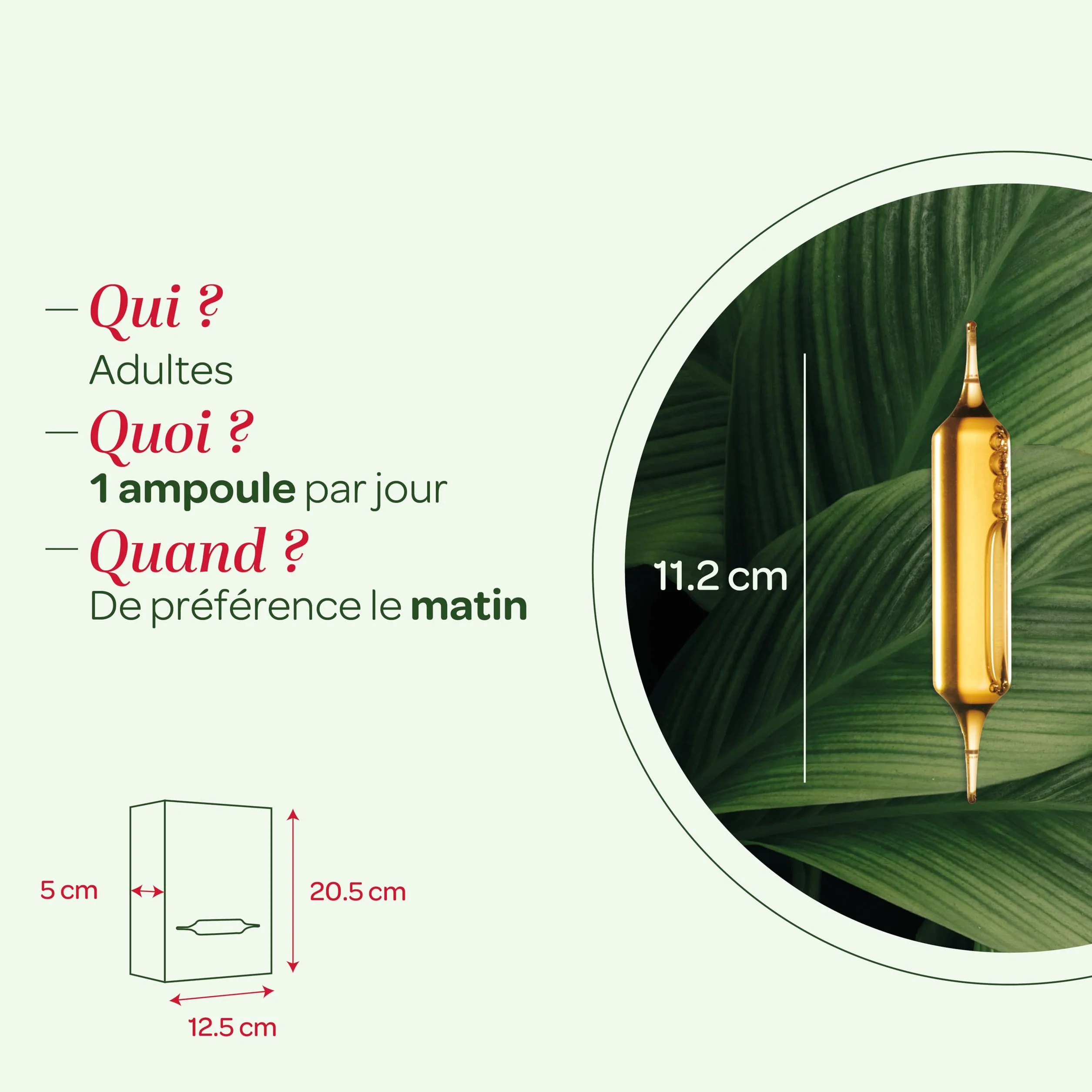 SUPERDIET-DRAINAFLORE BIO Drainage Détox 5 émonctoires 20 ampoules 15 ml Fabrication française