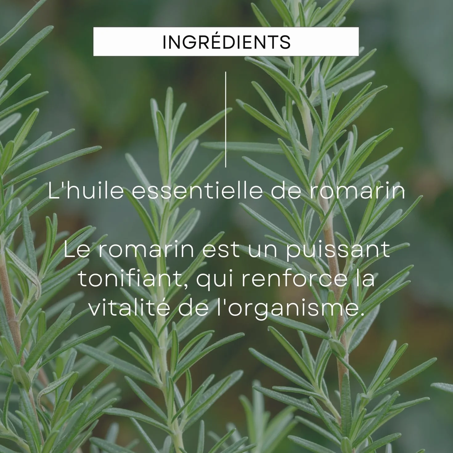 WELEDA Huile capillaire nourrissante cheveux abîmés secs NATRUE Bio Vegan 50ml