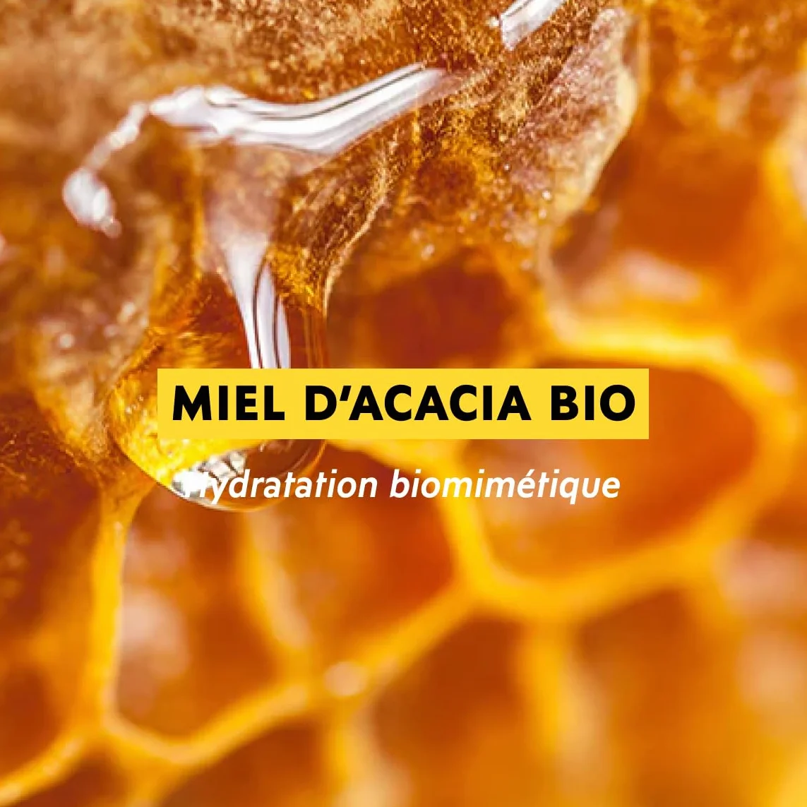 Alvadiem Crème Philomiel Pieds Secs Talons Rugueux Hydrate Adoucit Répare Callosités Miel d'Acacia Bio Gelée Royale Karité 150 ml