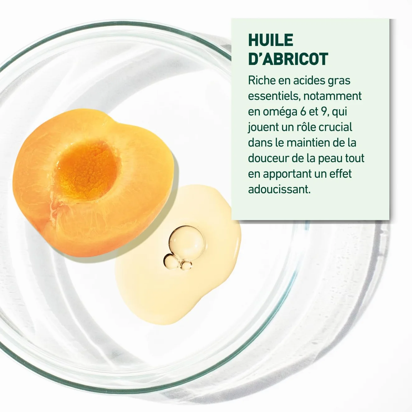 LABORATOIRES VENDÔME NUTRI V+ Pain Dermatologique Sans Parfum 100g pH Neutre Peaux Sèches