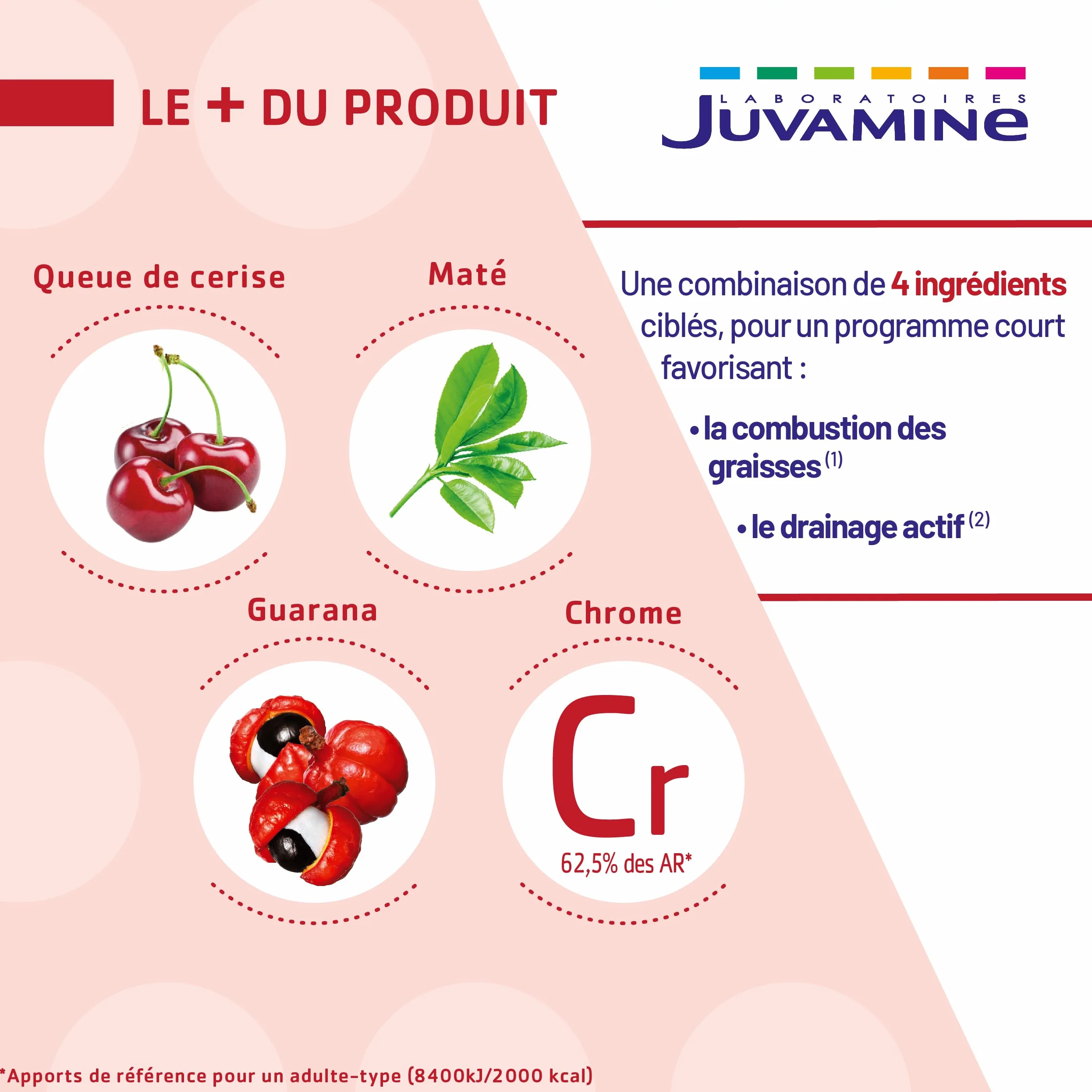 JUVAMINE Brûle-Graisse 14 Sticks Minceur Chrome Guarana Queue de Cerise Maté Arôme Ananas Fabriqué en France