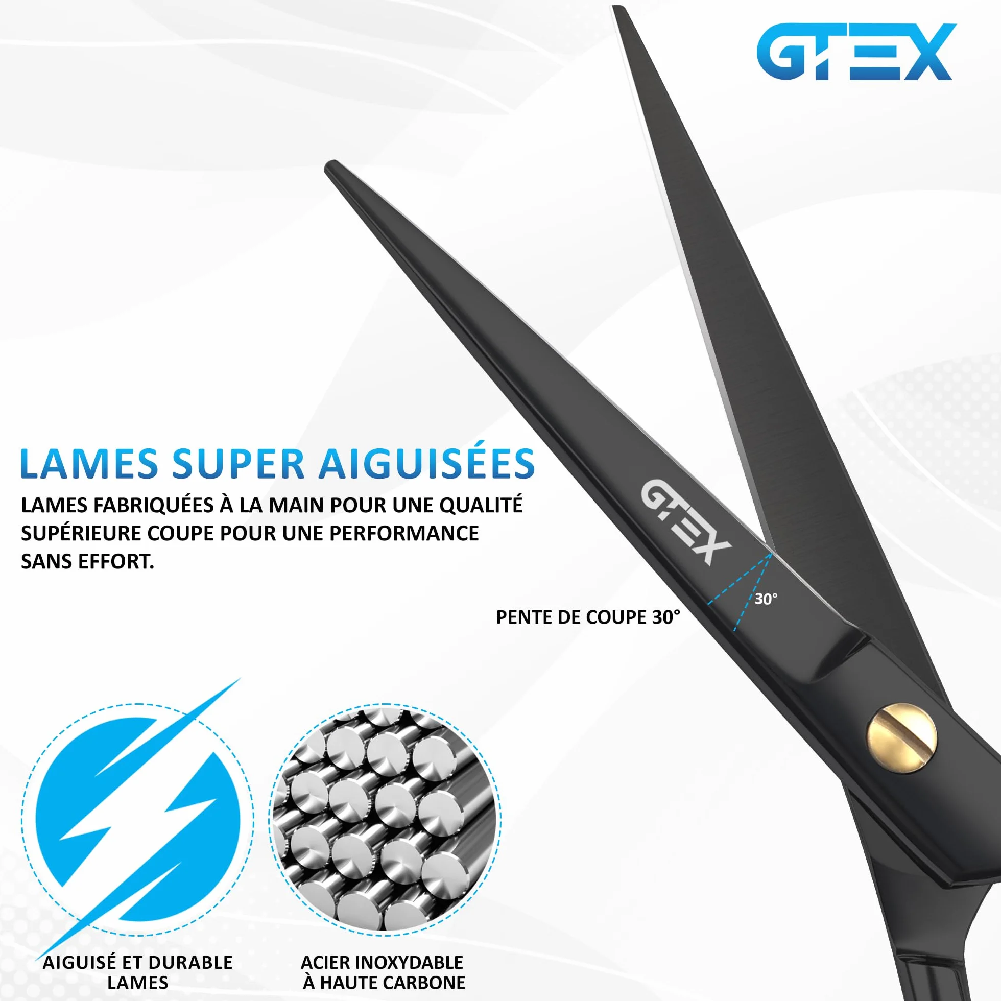 Ciseaux Coiffure Professionnel GTEX 6,5 Pouces Acier Inoxydable Haute Teneur en Carbone